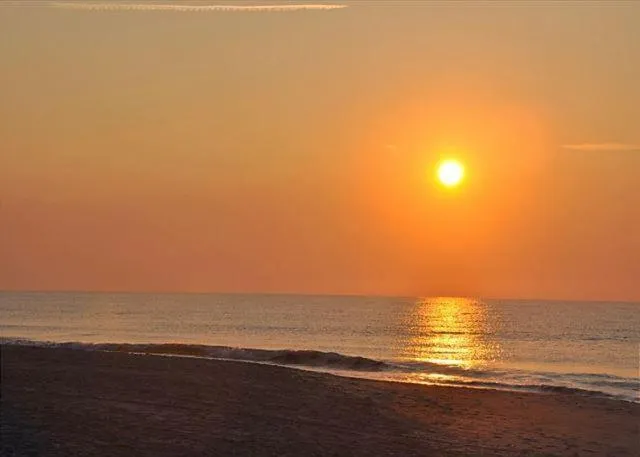 Carolina Dunes 304