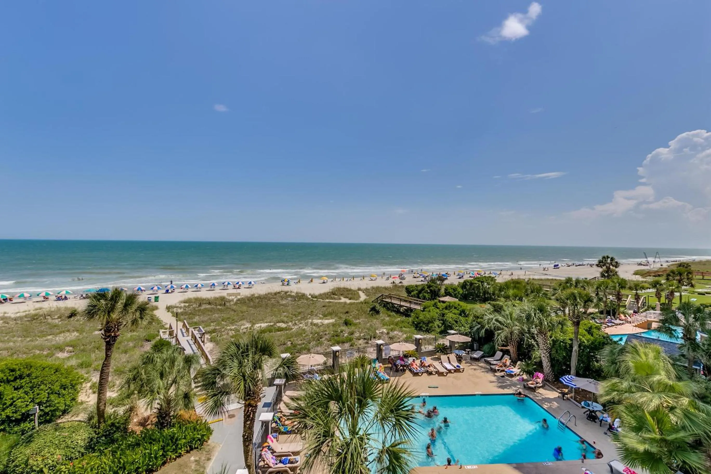 Carolina Dunes 502