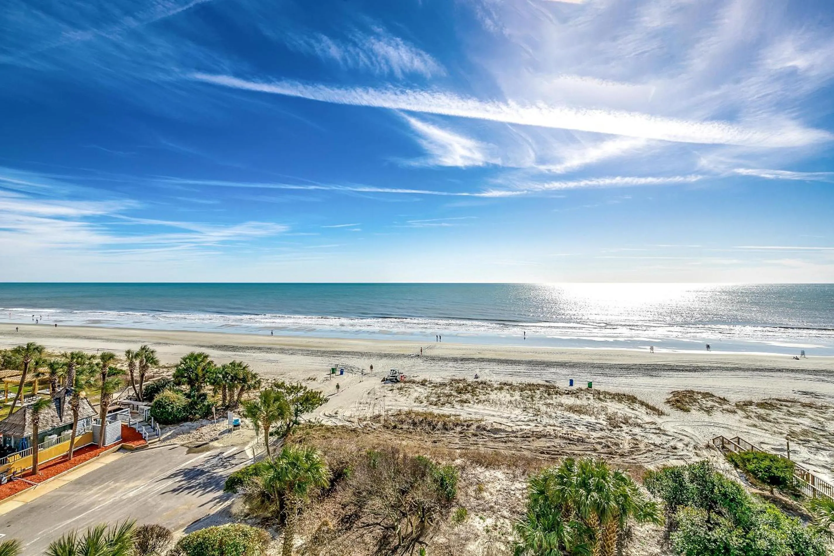 Carolina Dunes 502