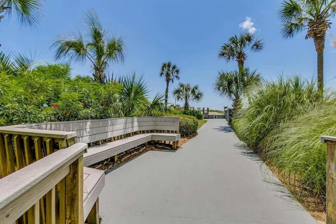 Carolina Dunes 502