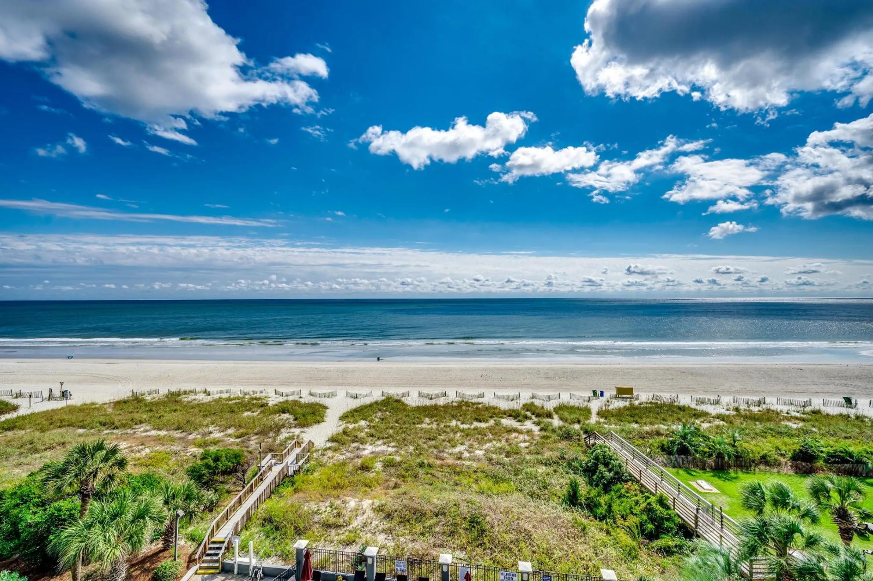 Carolina Dunes - 506