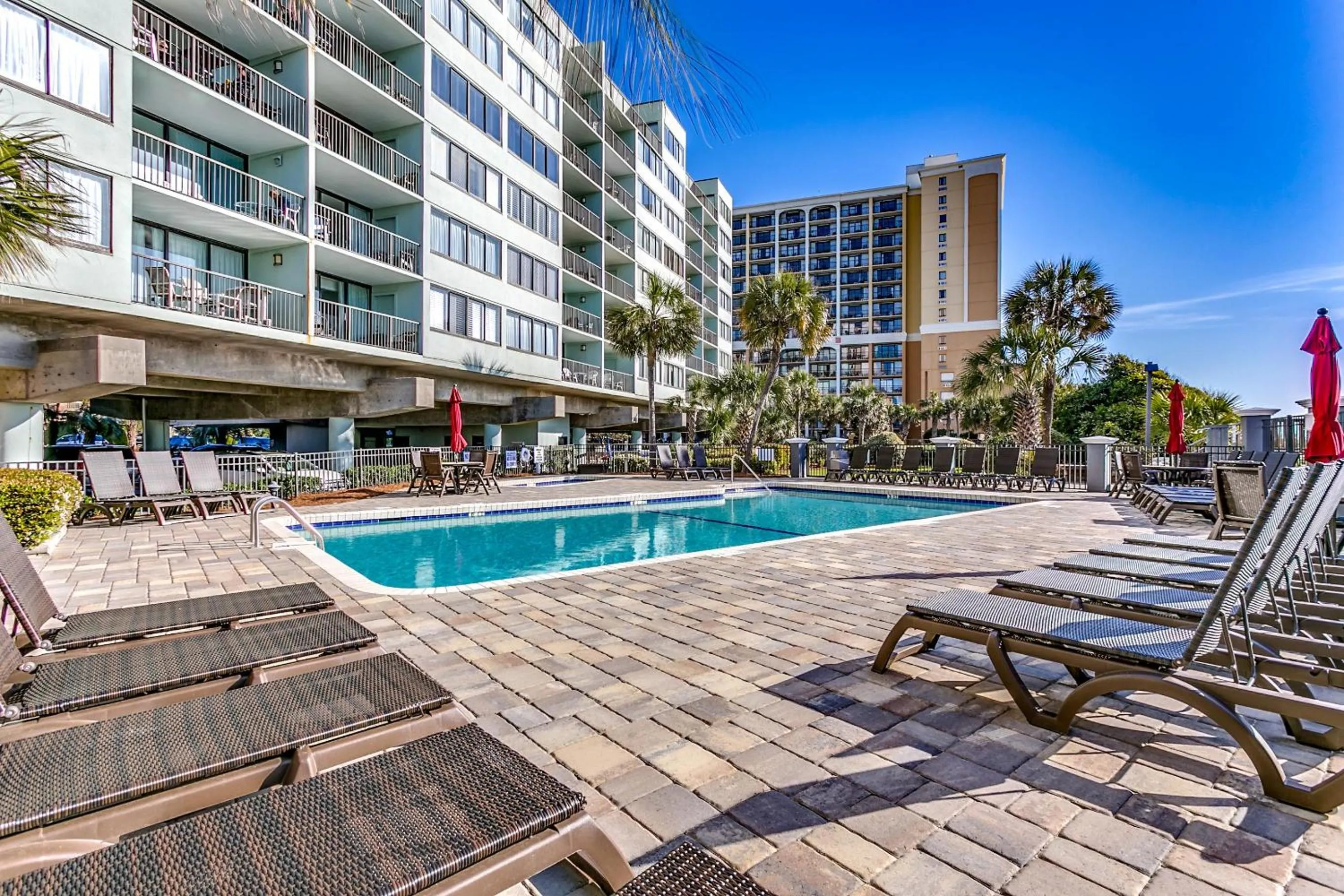 Carolina Dunes - 506