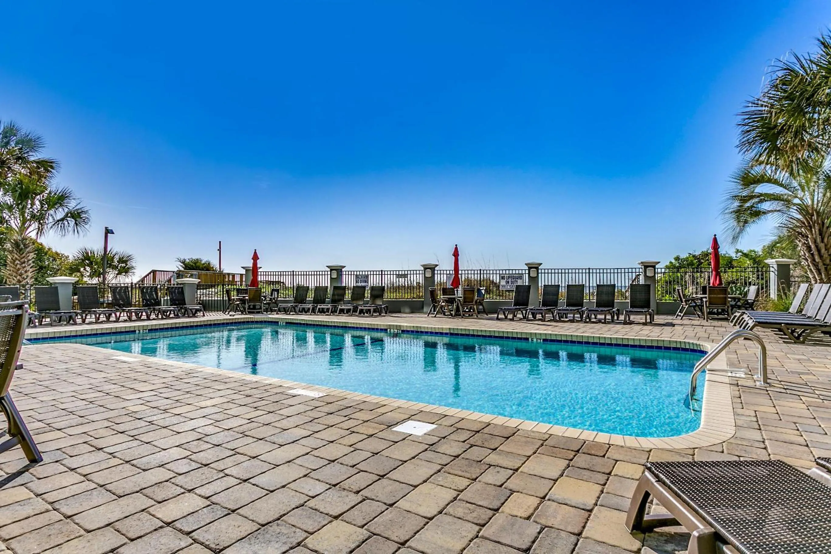 Carolina Dunes - 506