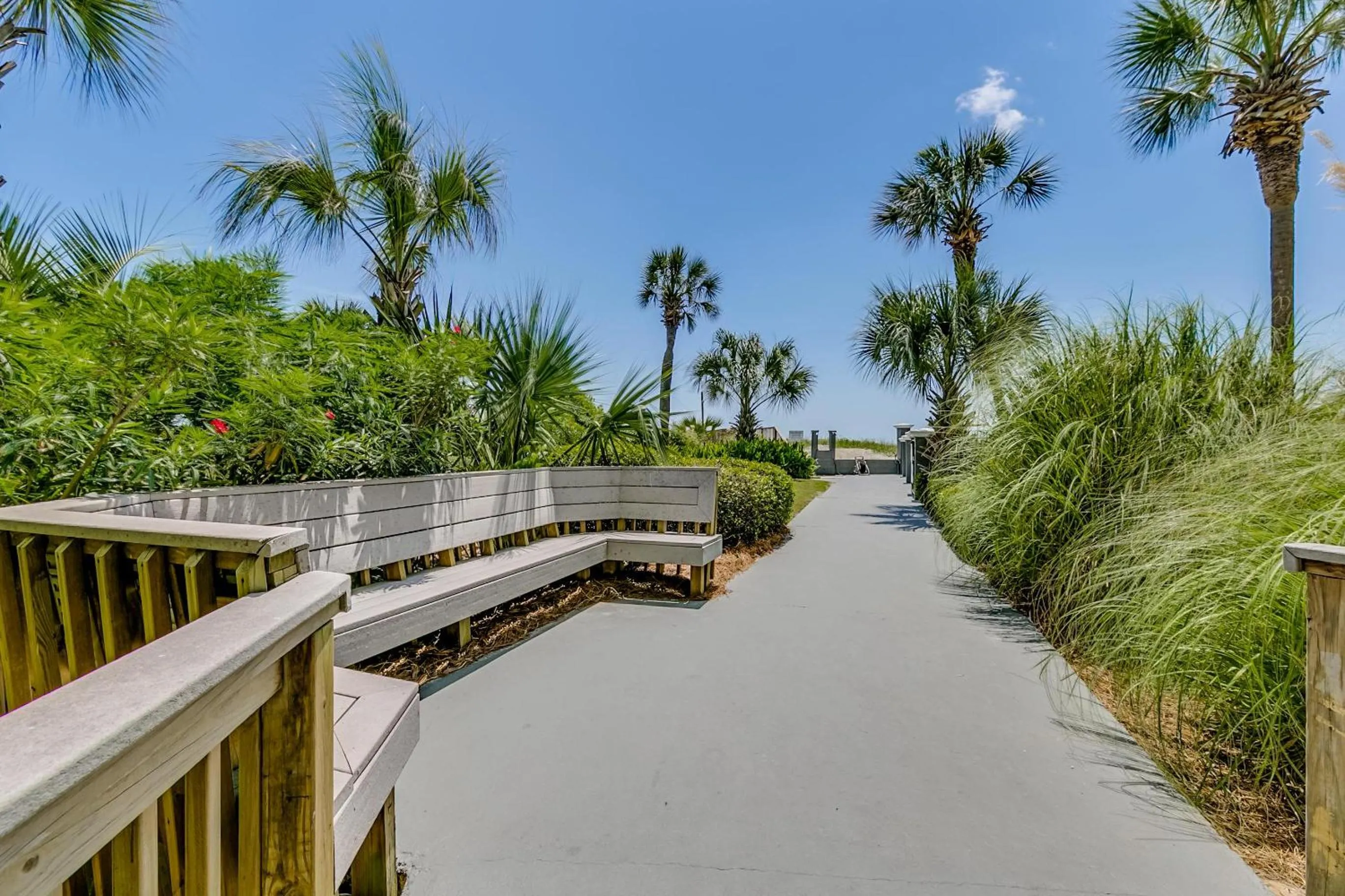 Carolina Dunes - 506