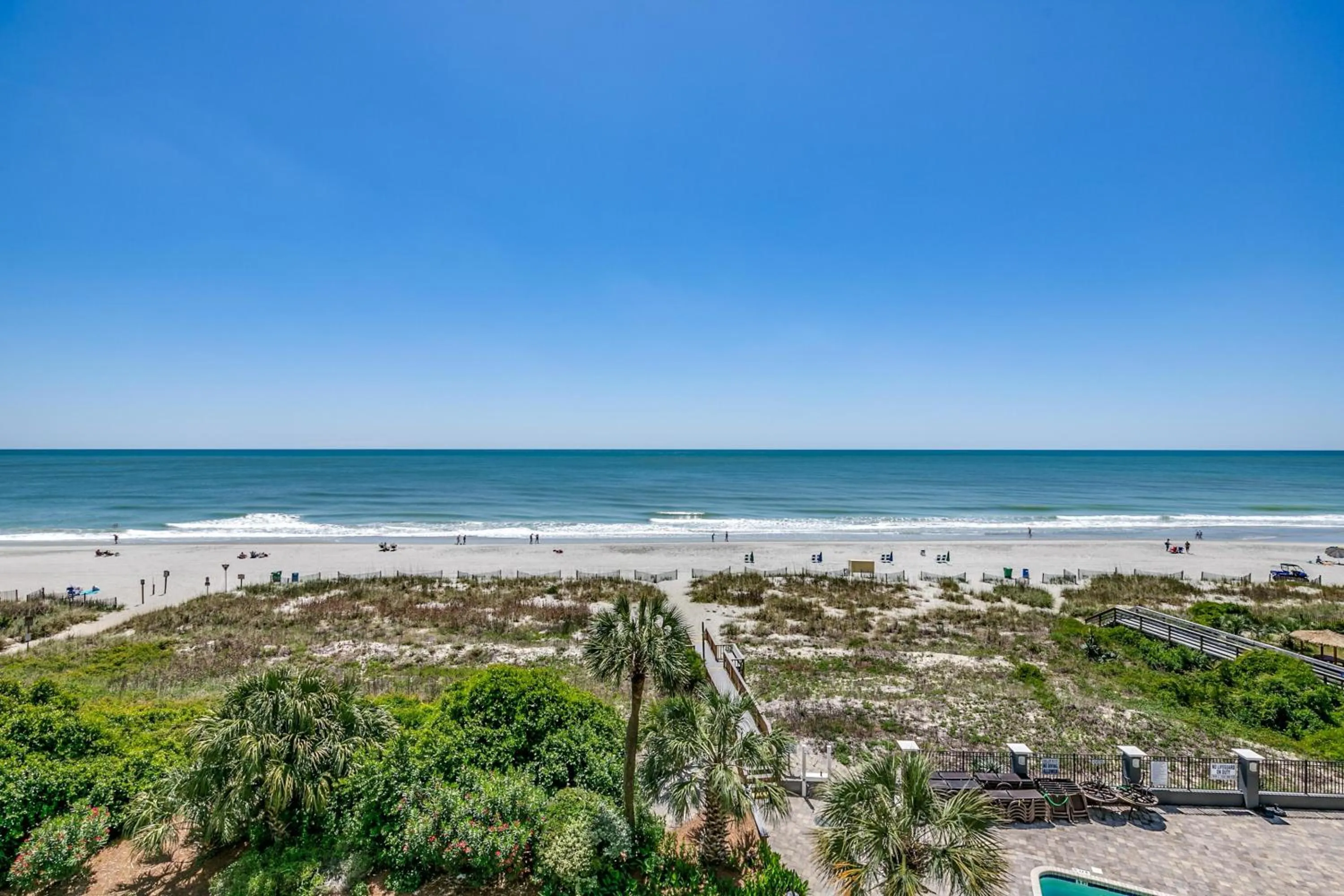 Carolina Dunes - 404