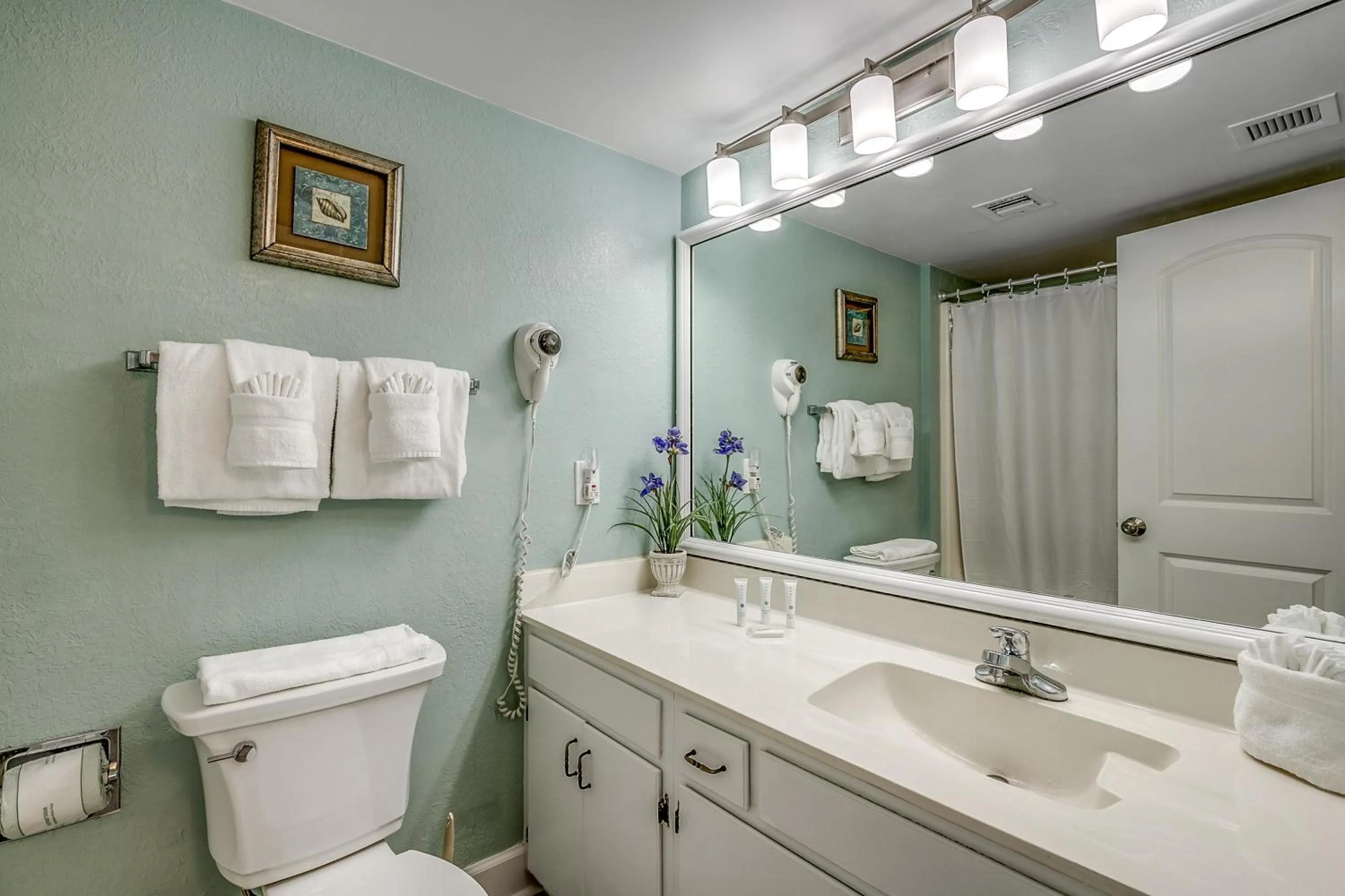 Carolina Dunes - 403