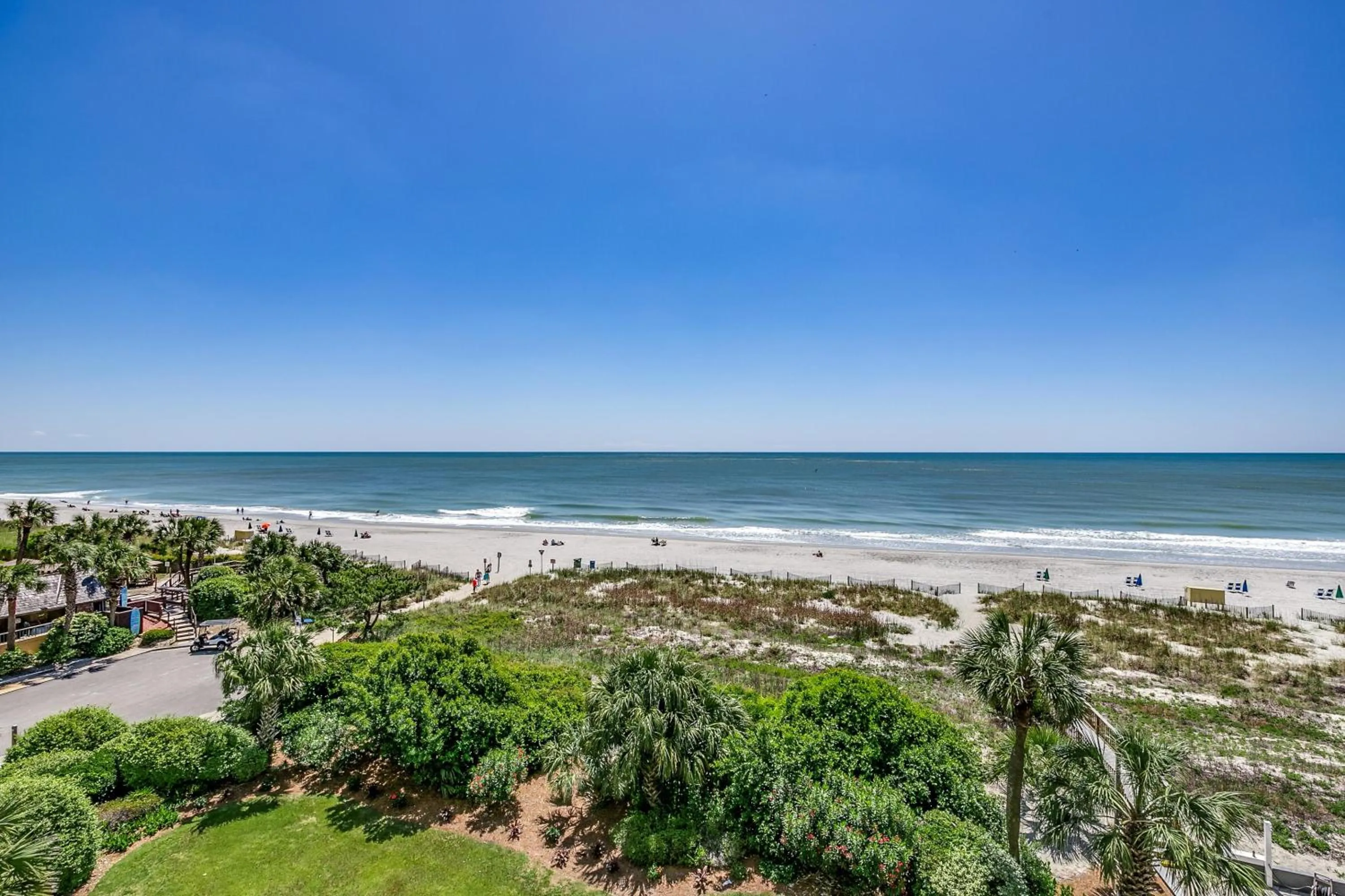 Carolina Dunes - 403