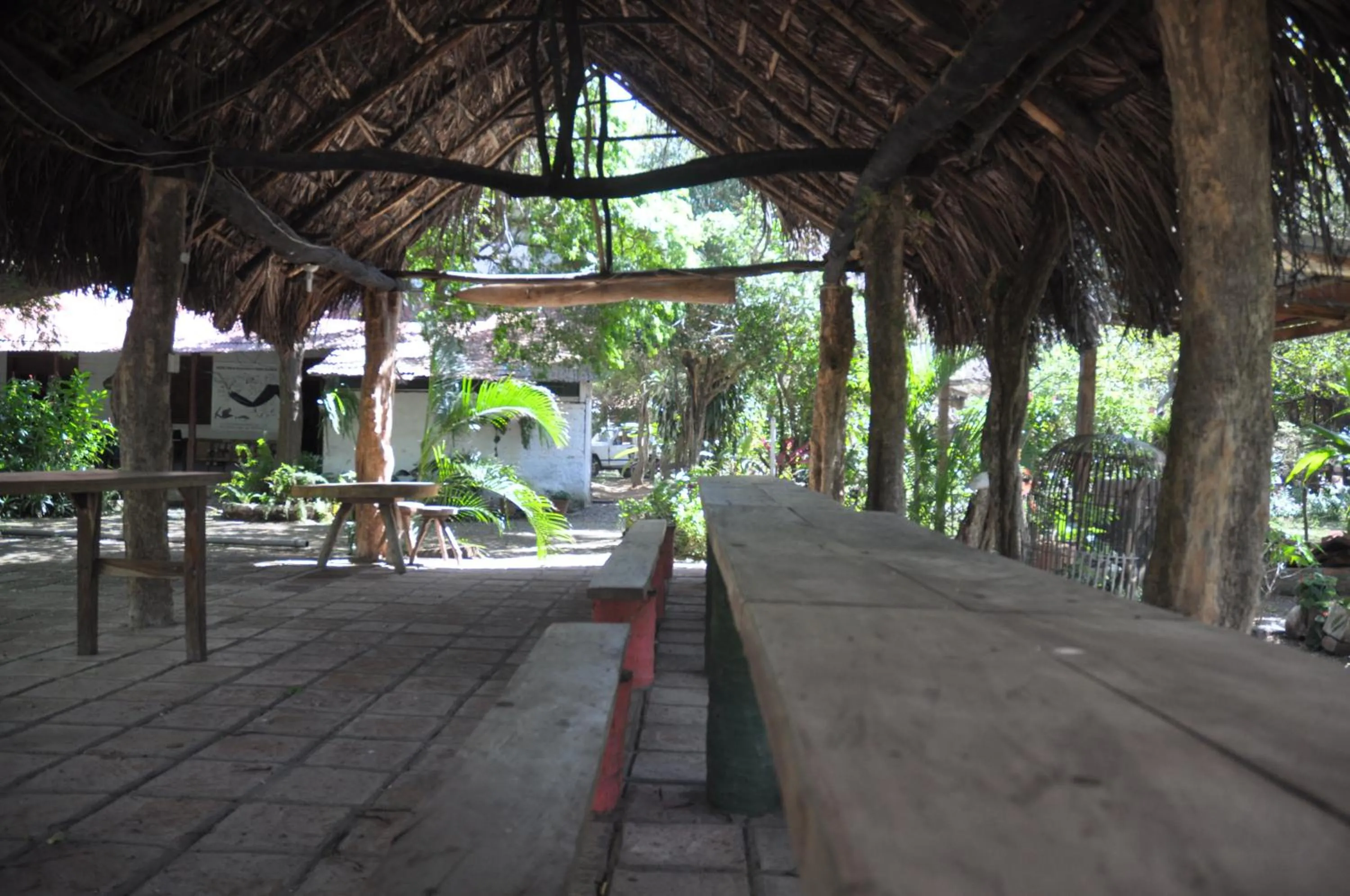 Restaurant/places to eat in Hotel Ecológico Tierra Blanca