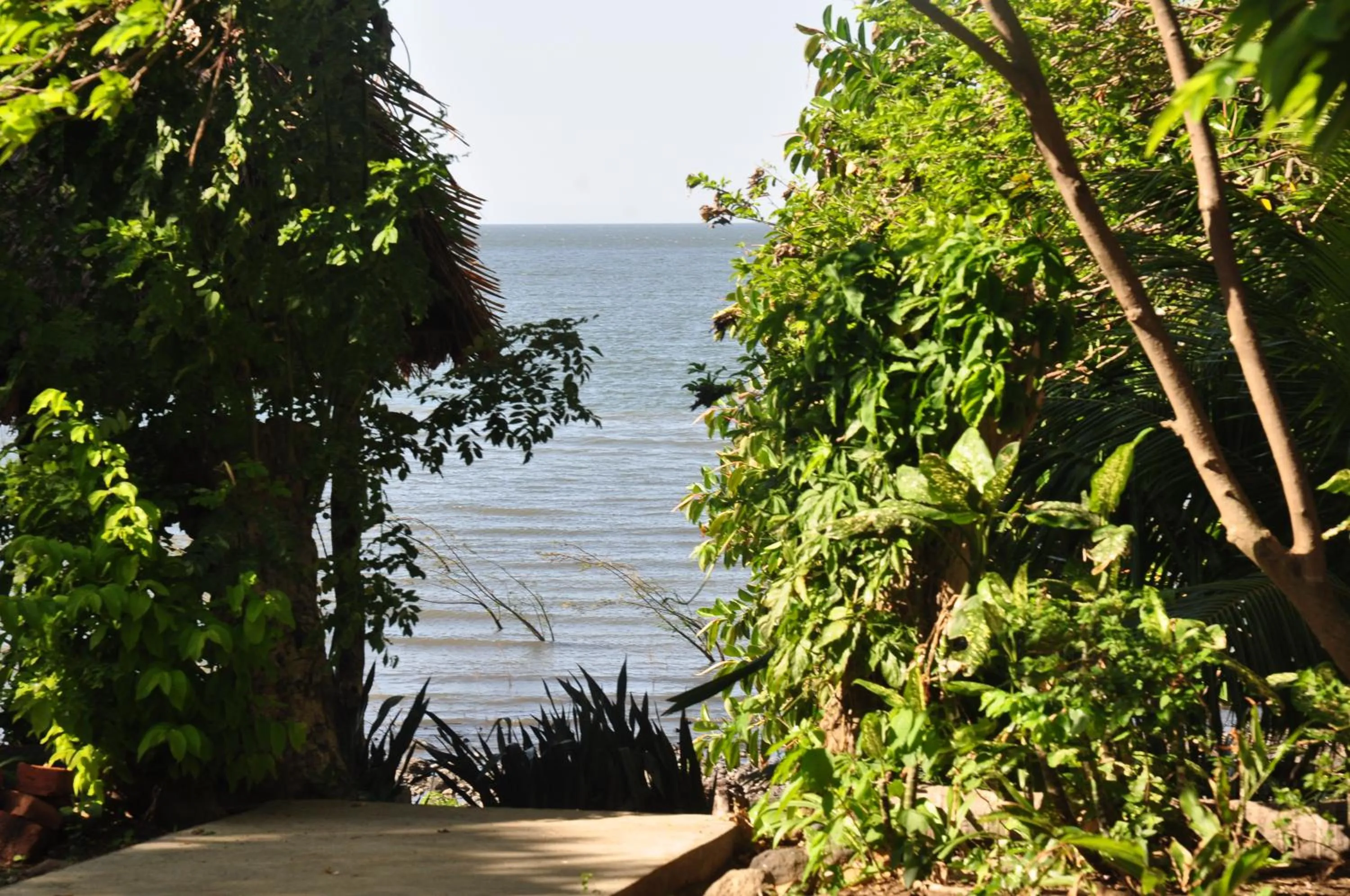 Beach in Hotel Ecológico Tierra Blanca