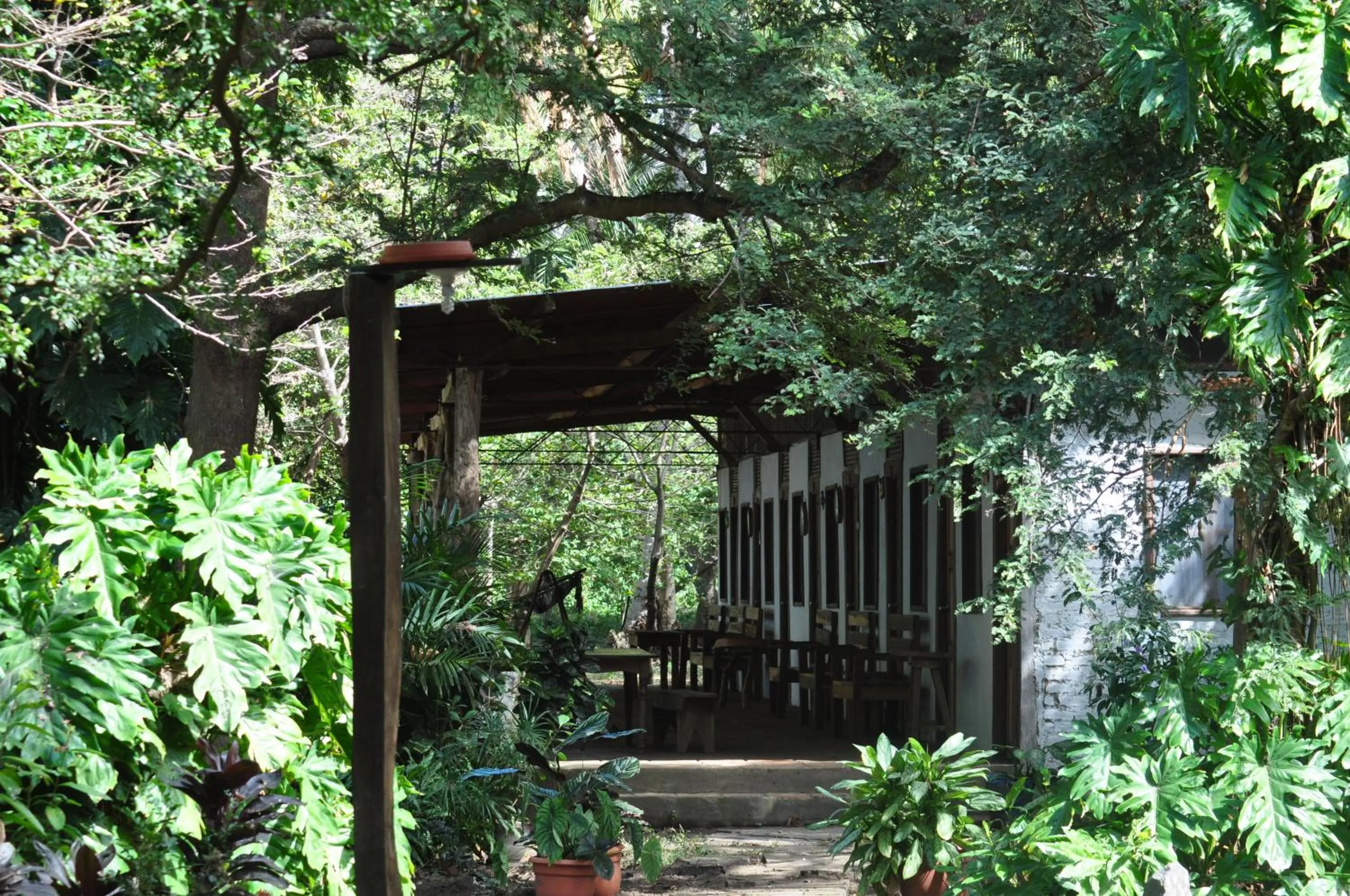 Facade/entrance in Hotel Ecológico Tierra Blanca