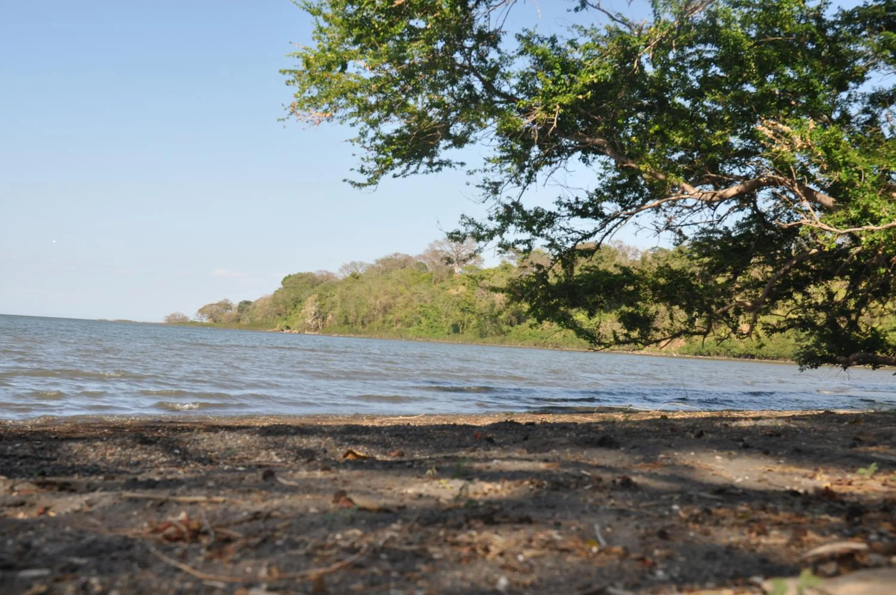 Beach in Hotel Ecológico Tierra Blanca