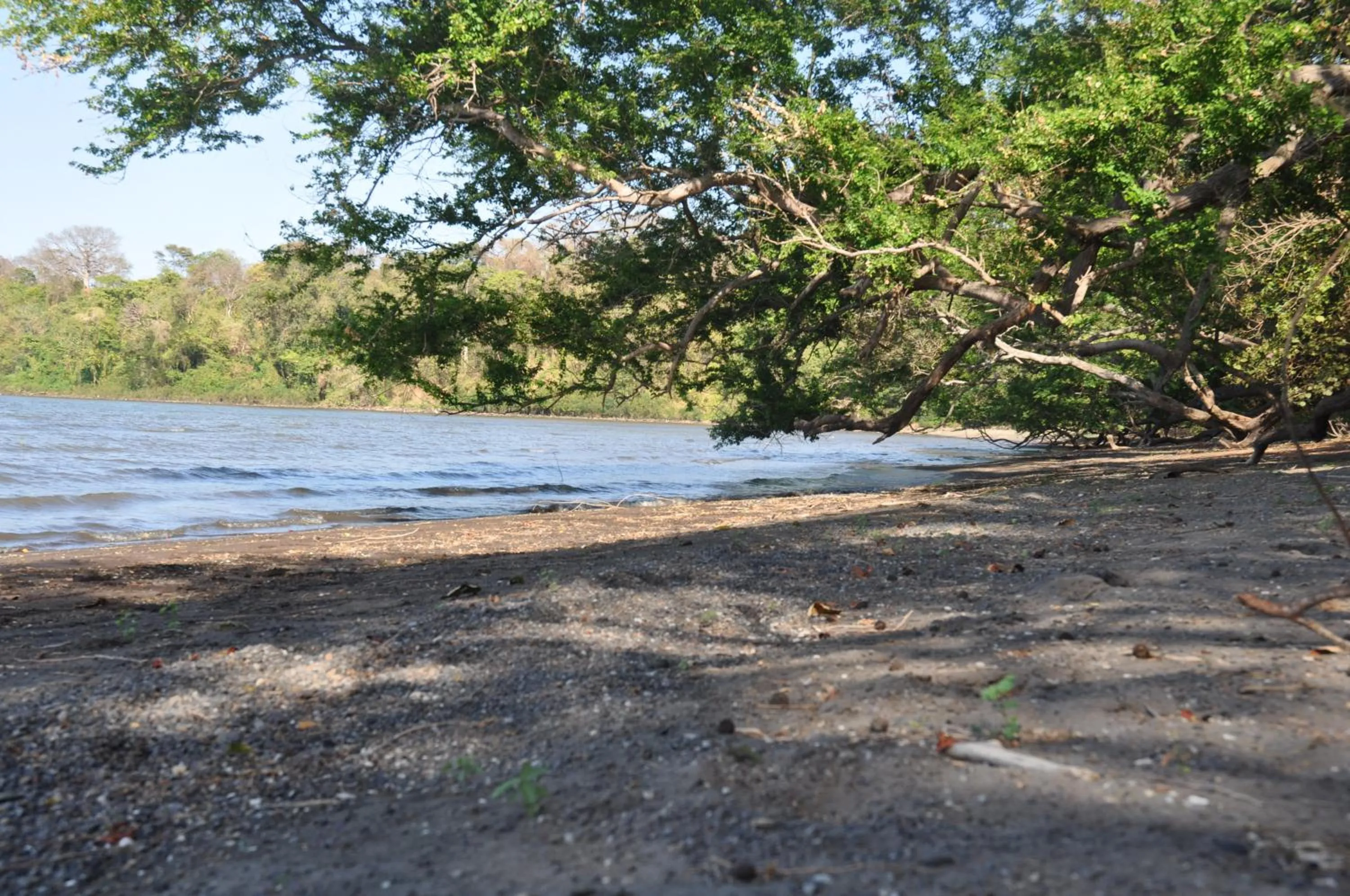 Beach in Hotel Ecológico Tierra Blanca