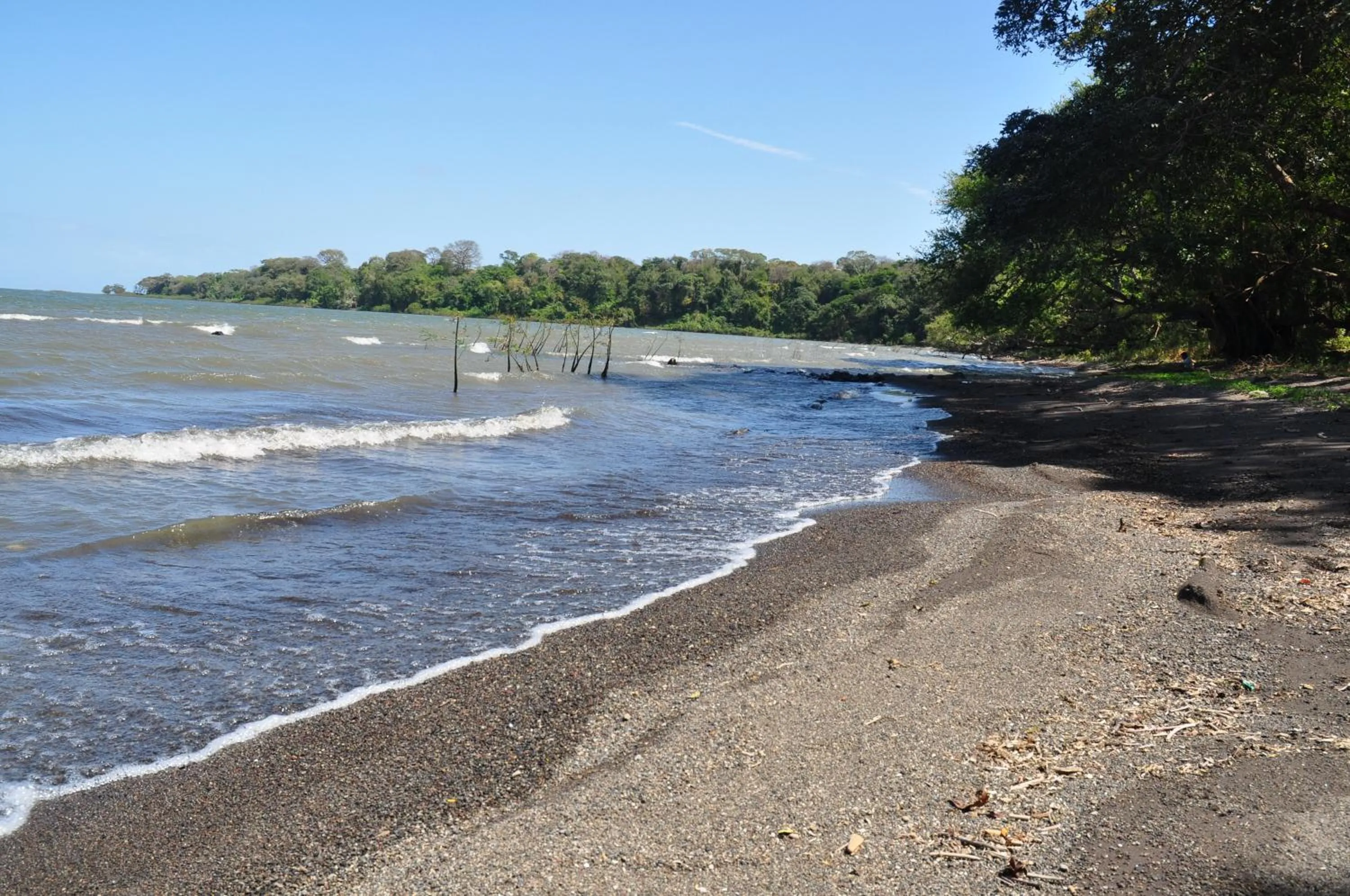 Beach in Hotel Ecológico Tierra Blanca