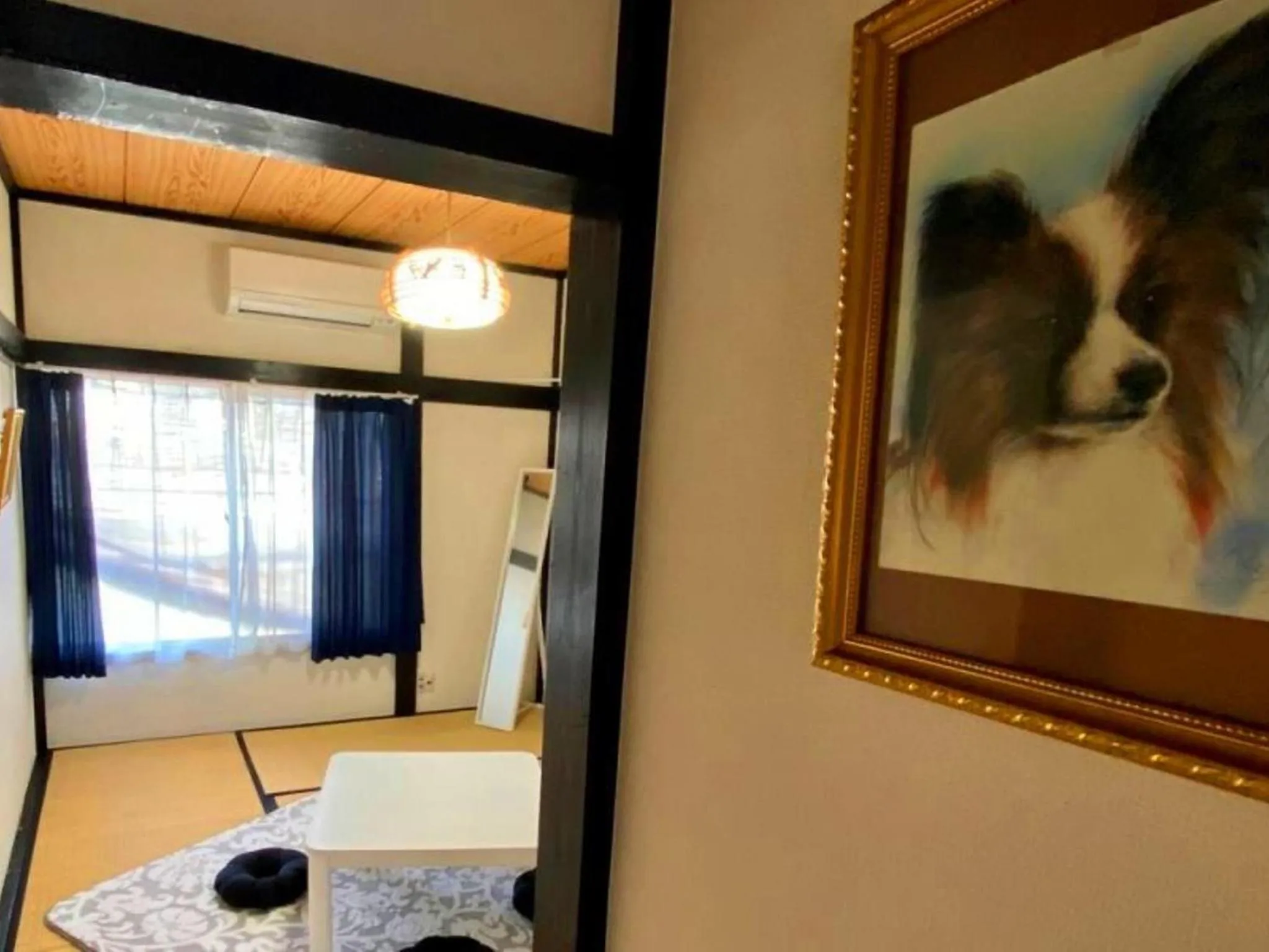 Photo of the whole room in Oasis Wadaura