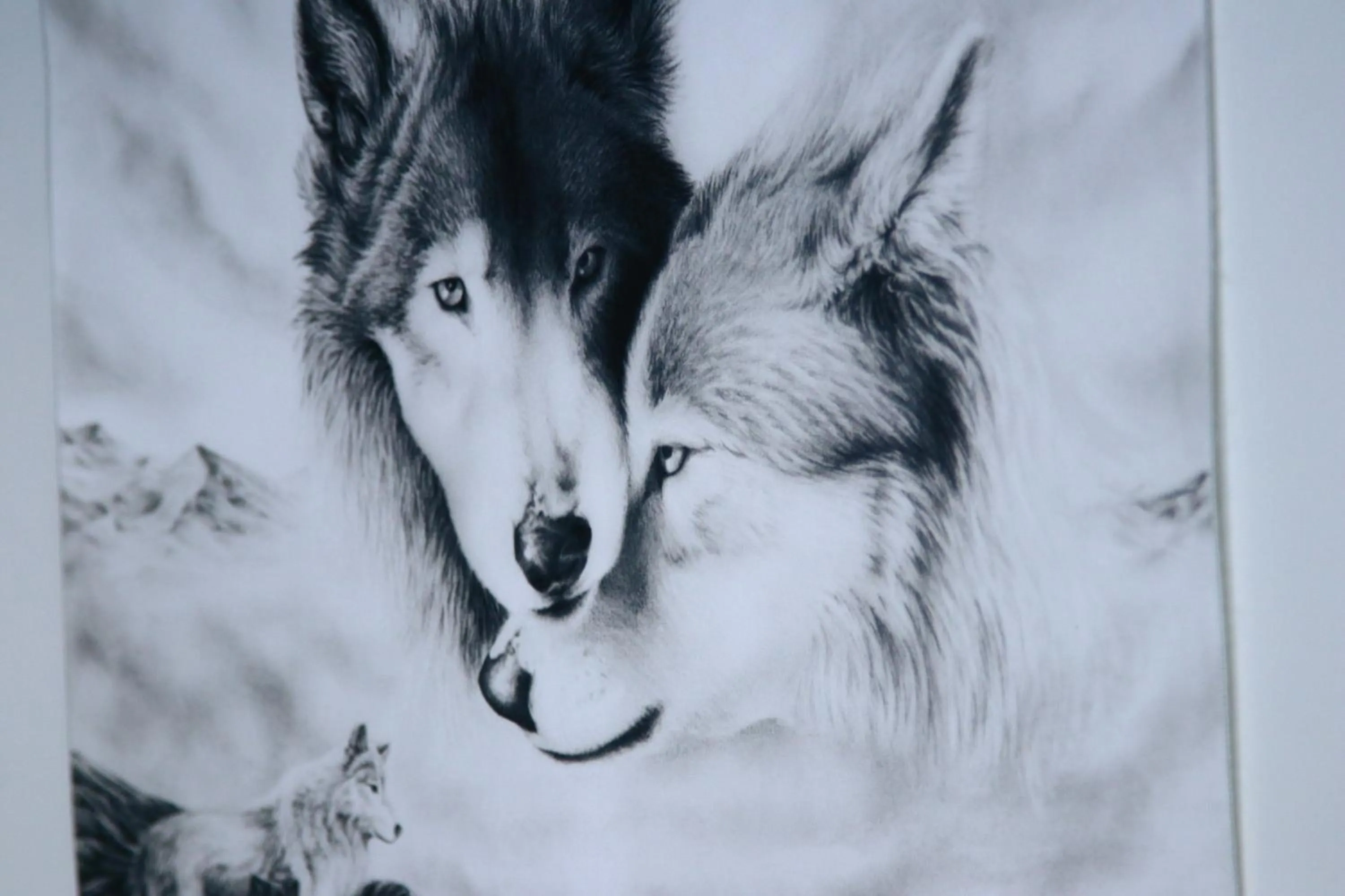 Photo of the whole room in Oasis Wadaura