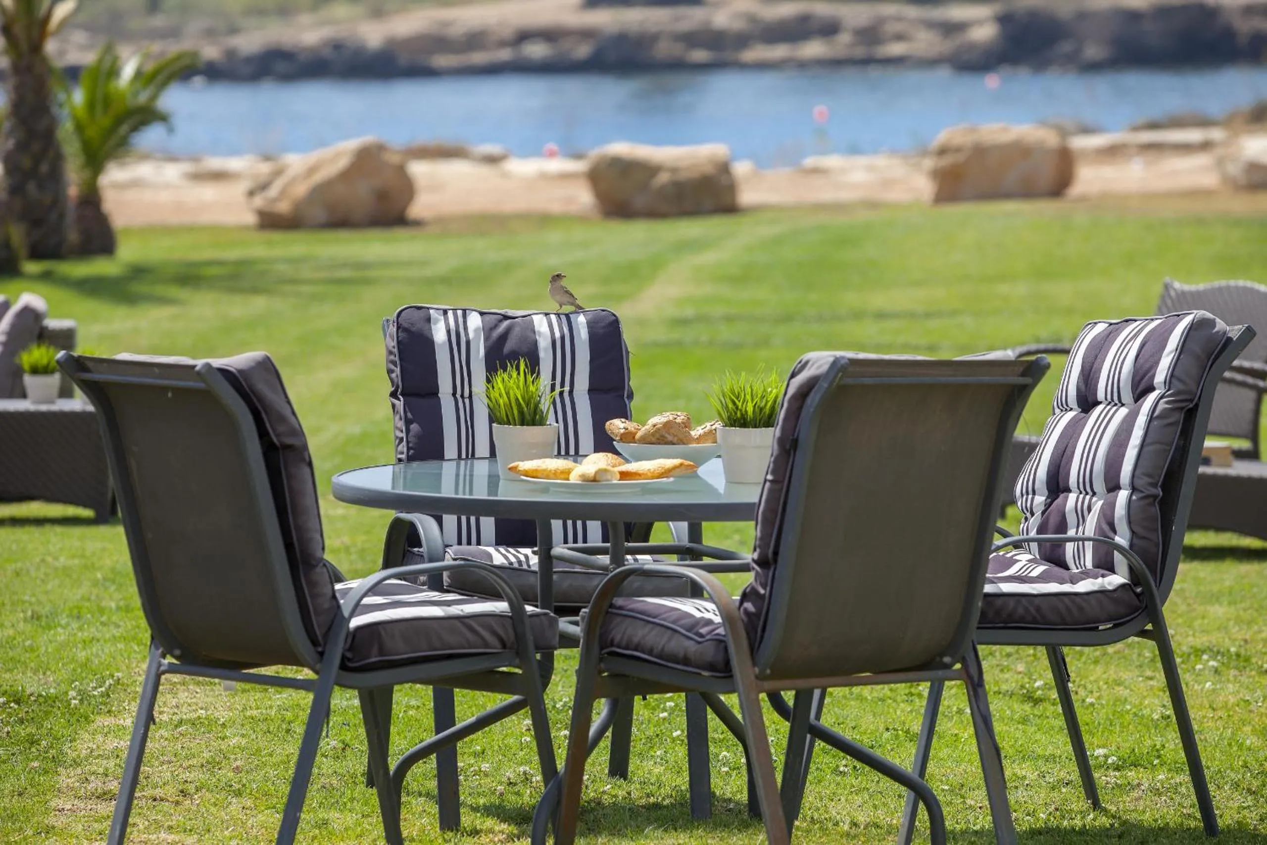 Garden in Protaras Seafront Villa Infinte Aretousa