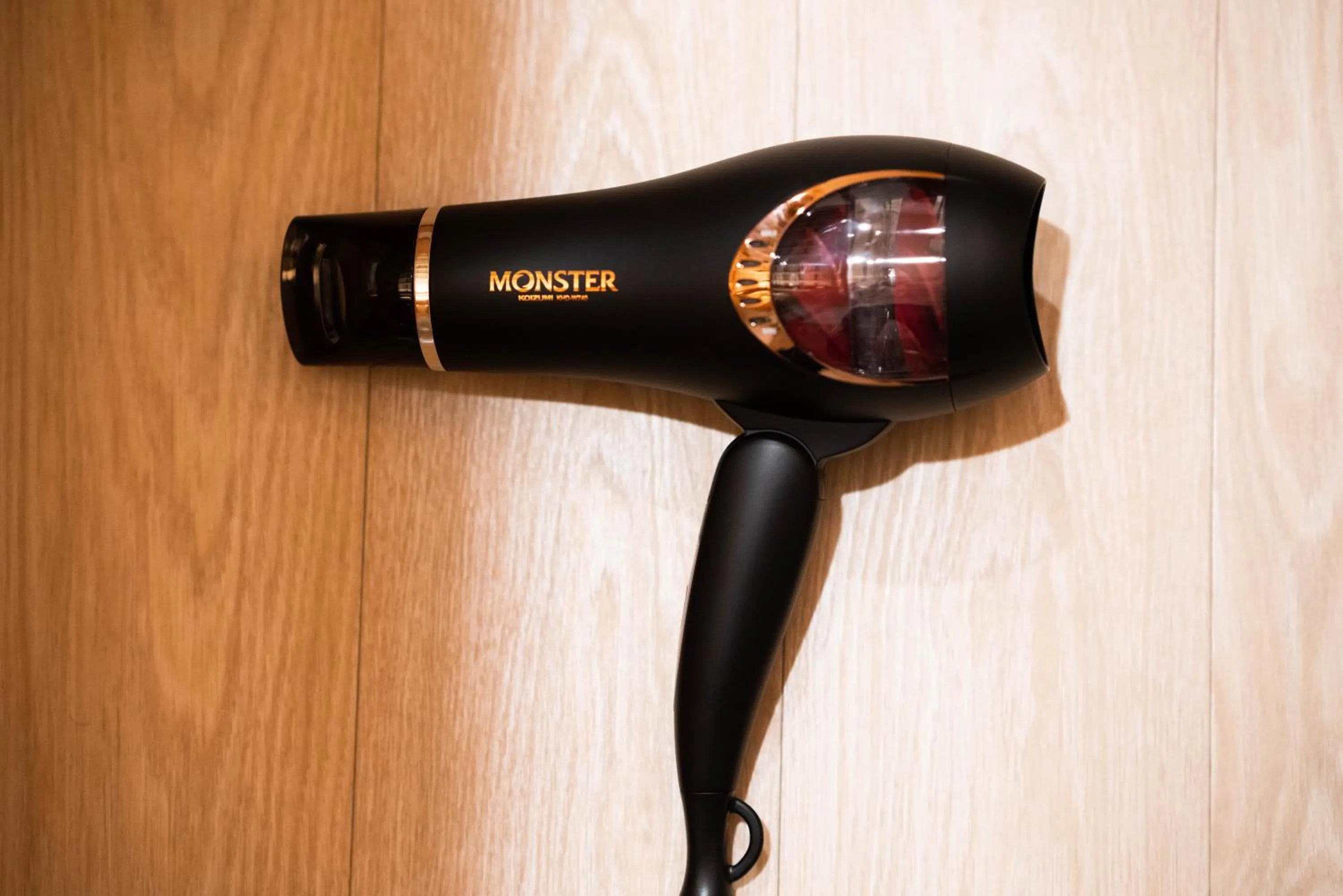 hair dryier in kaguya asakusa Women only guest house