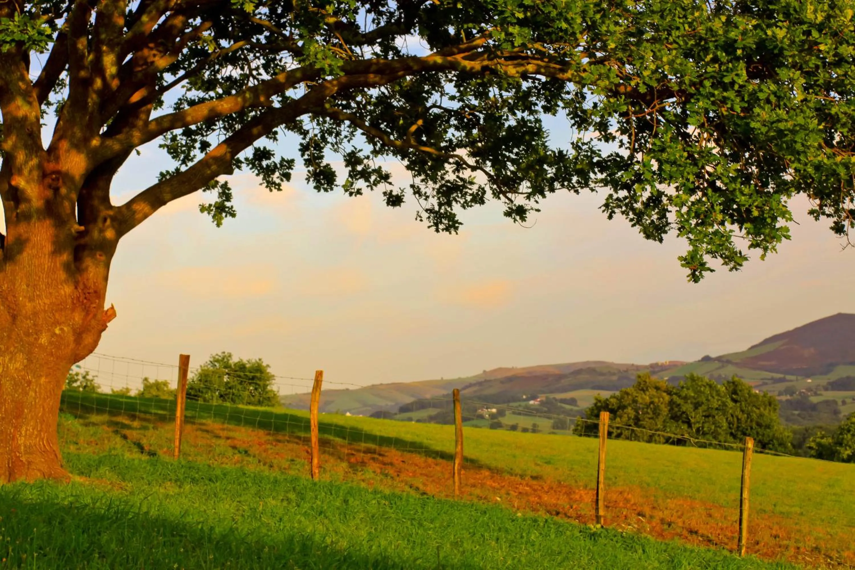 Sunset in Hotel Les Tilleuls