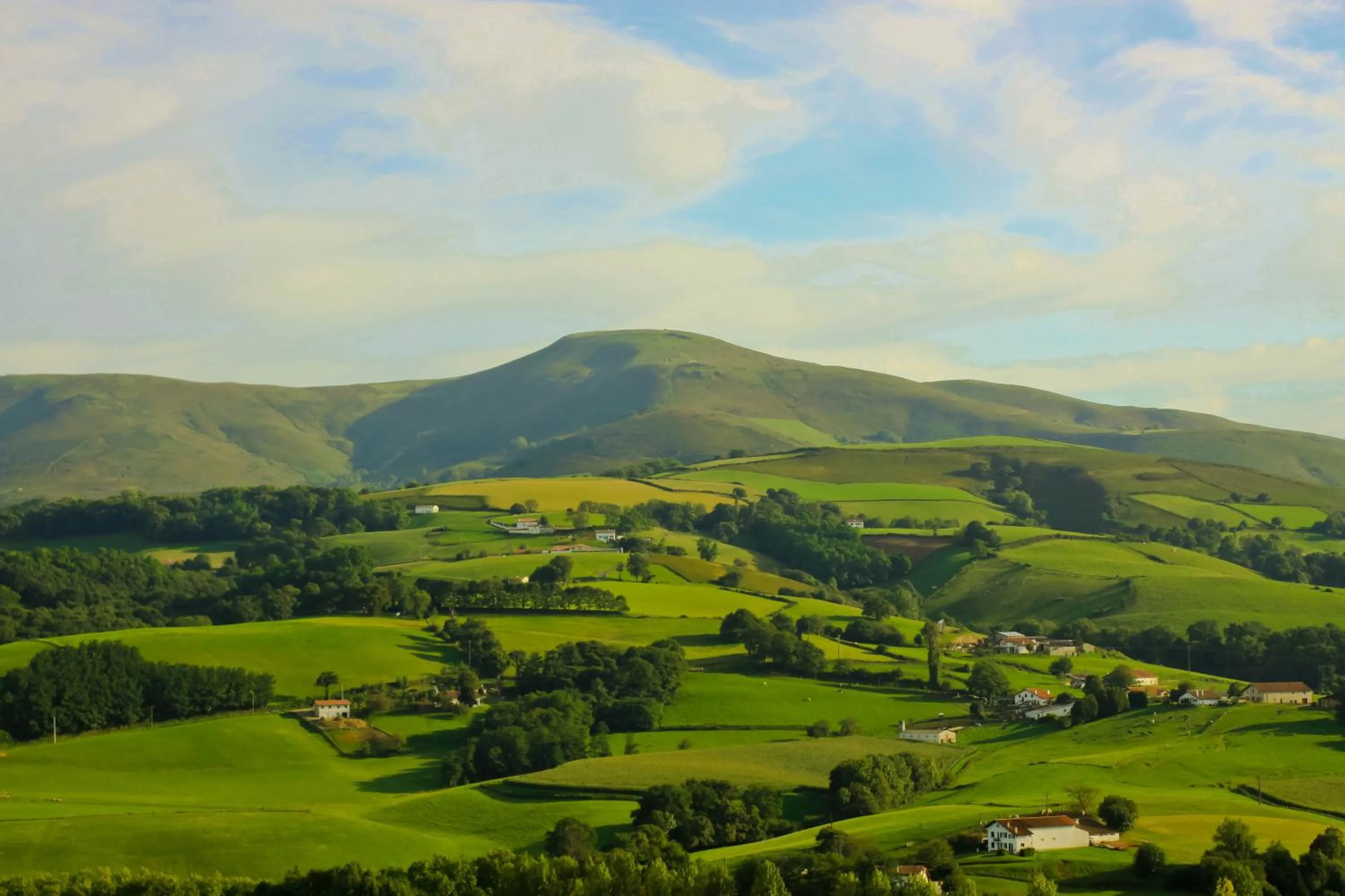 Natural landscape in Hotel Les Tilleuls
