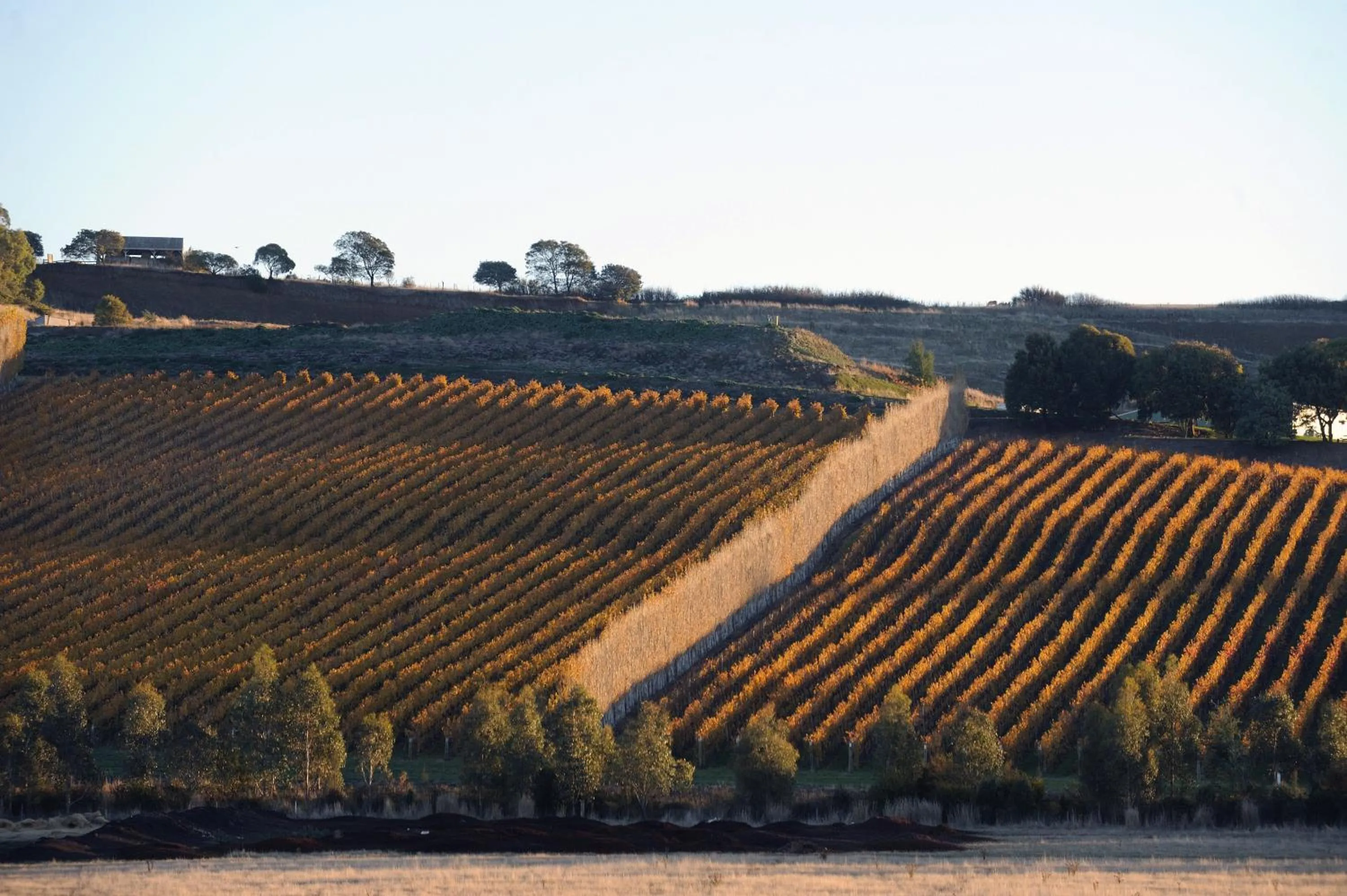 Other in Relbia Lodge