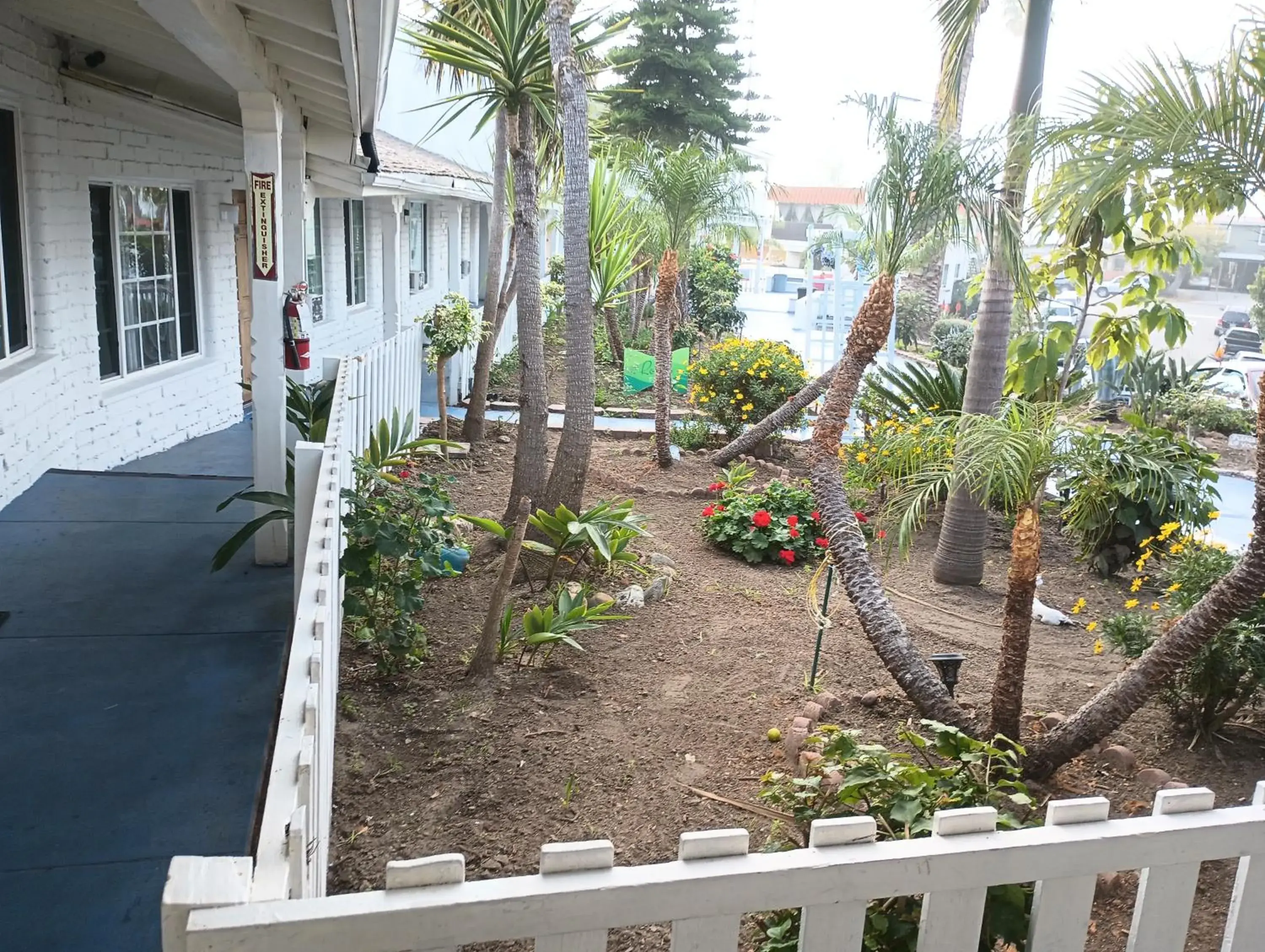 Garden view in Oceana Boutique Hotel Garden view in Oceana Boutique Hotel
