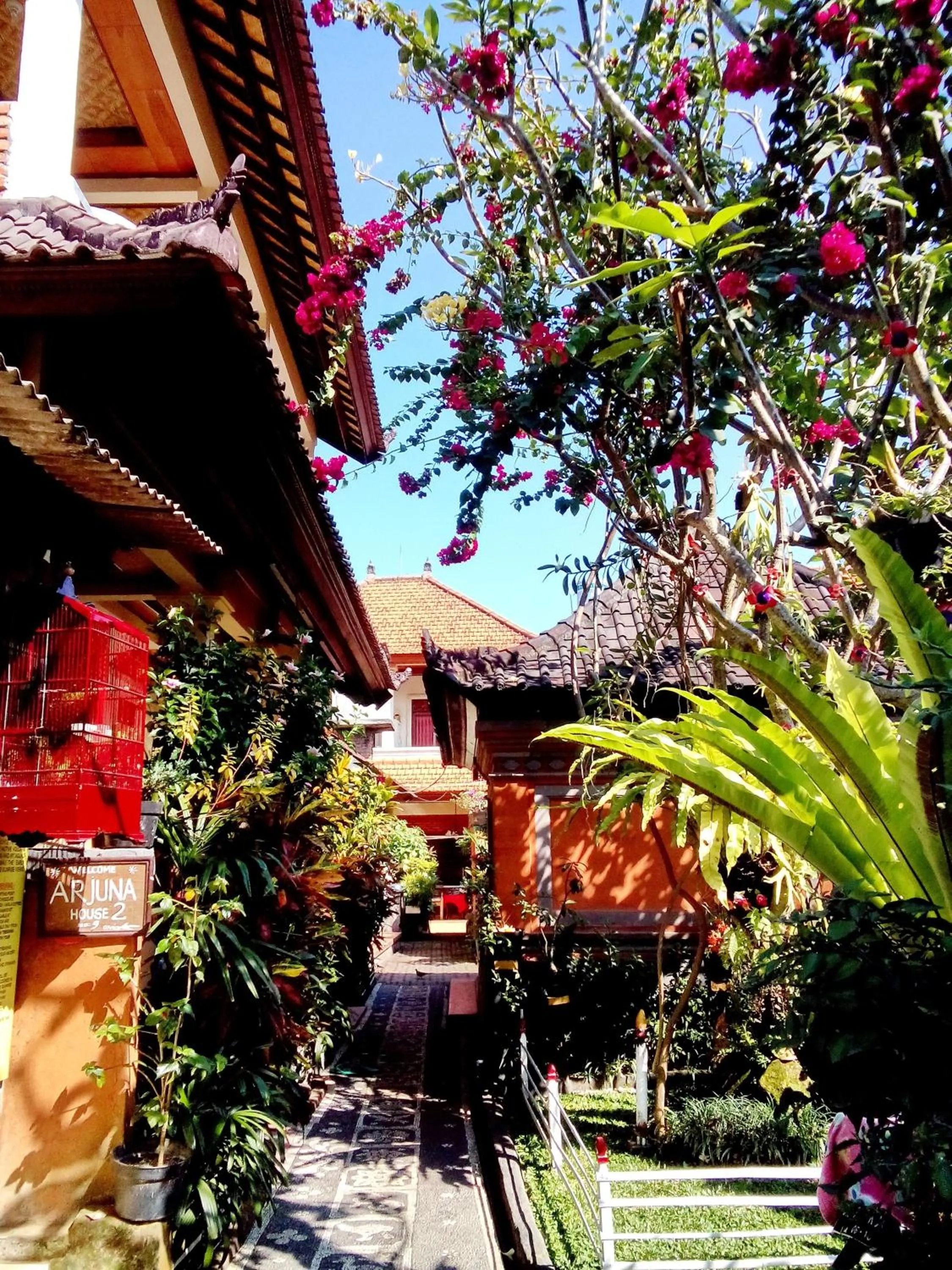 Day in Arjuna Homestay Ubud