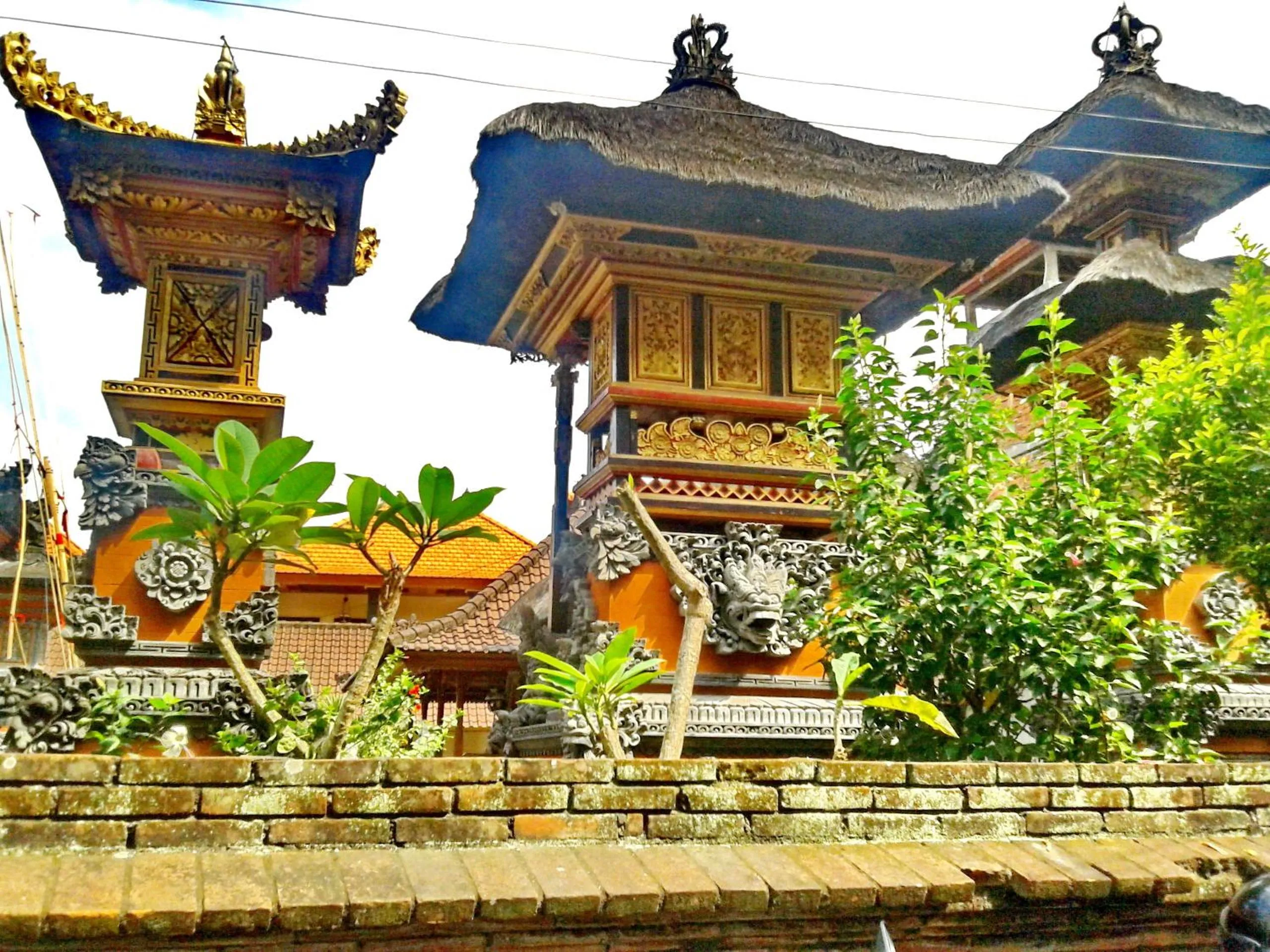 Neighbourhood in Arjuna Homestay Ubud