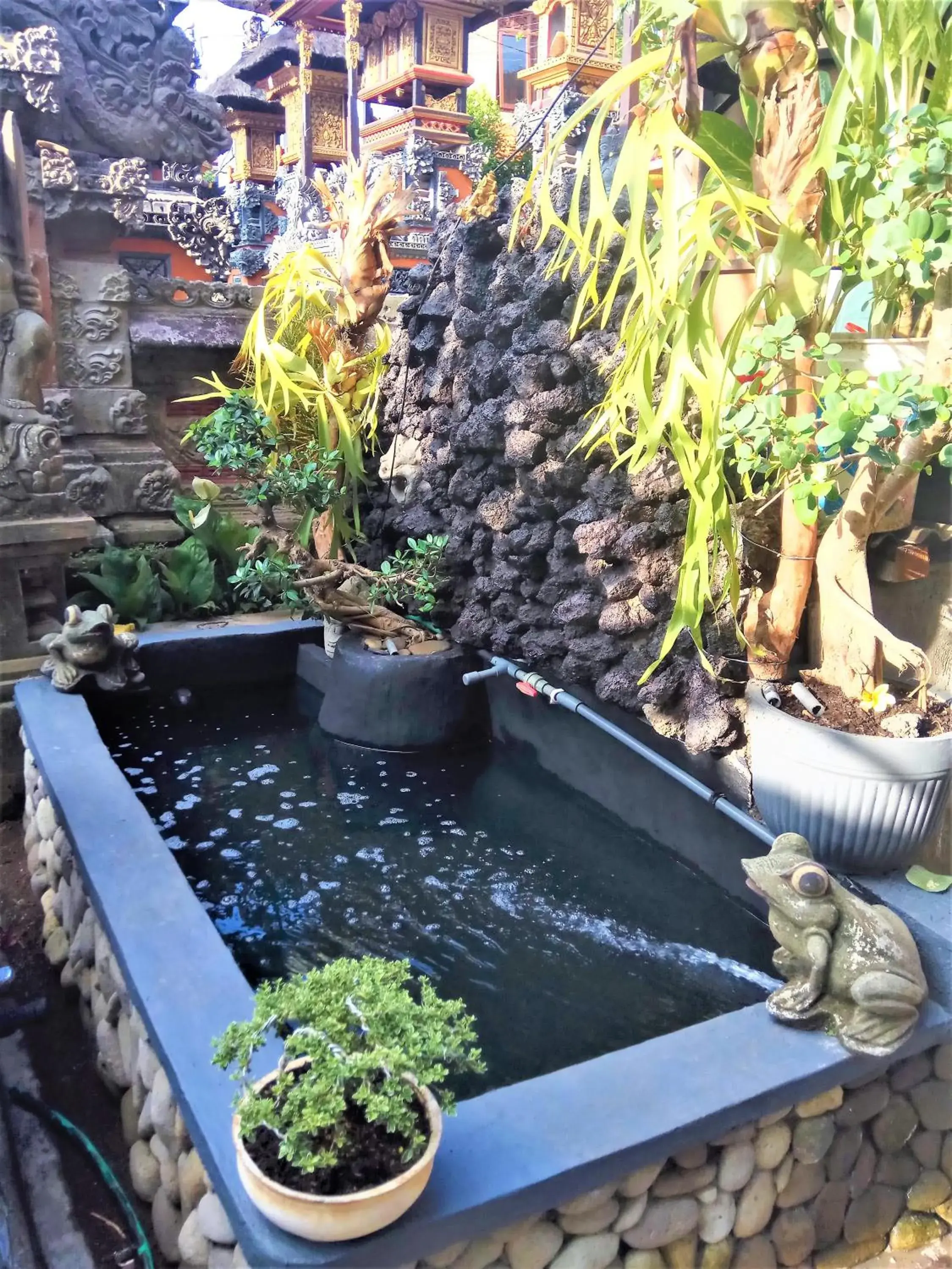 View (from property/room) in Arjuna Homestay Ubud View (from property/room) in Arjuna Homestay Ubud