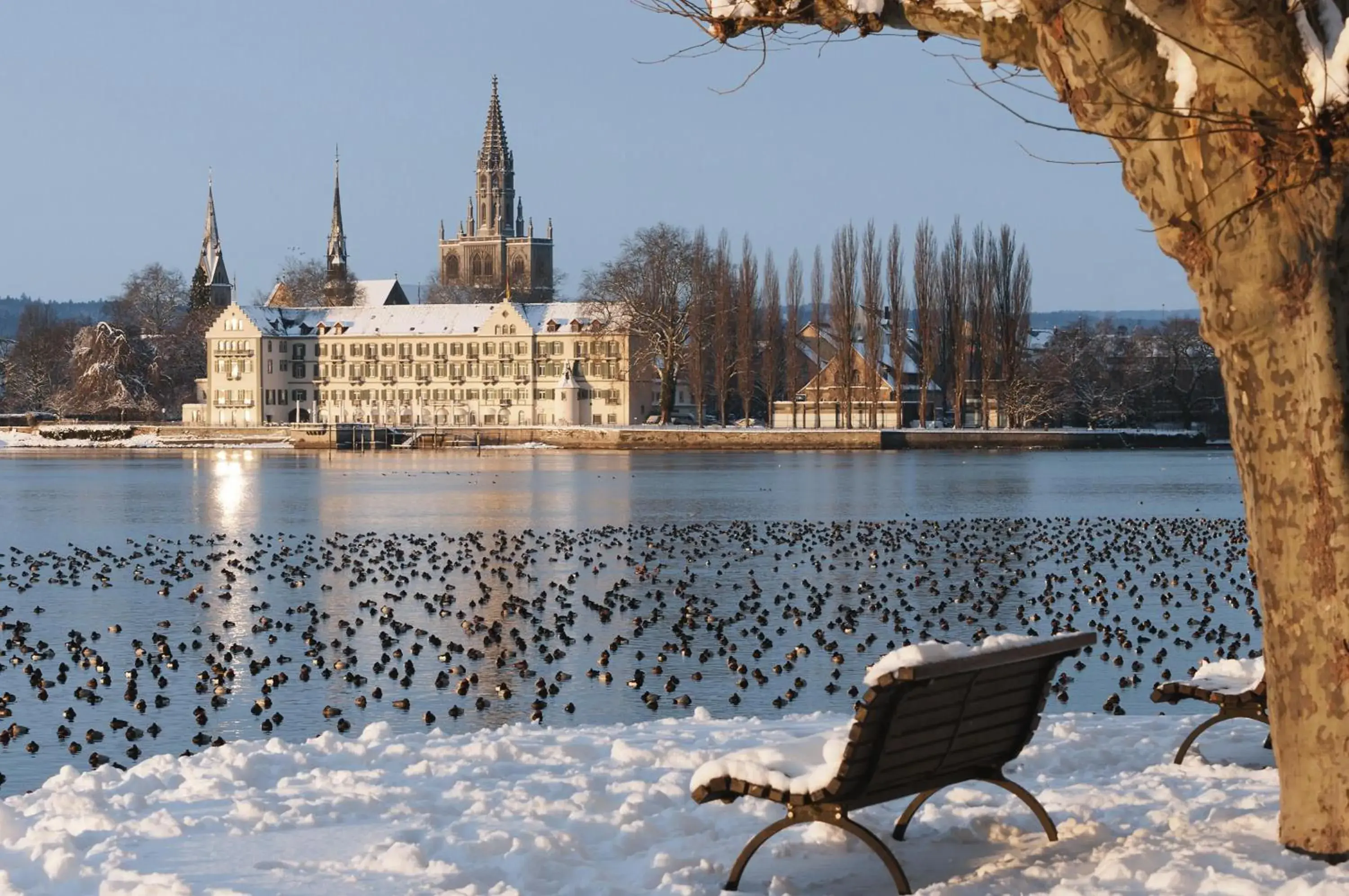 Property building in Steigenberger Inselhotel Property building in Steigenberger Inselhotel