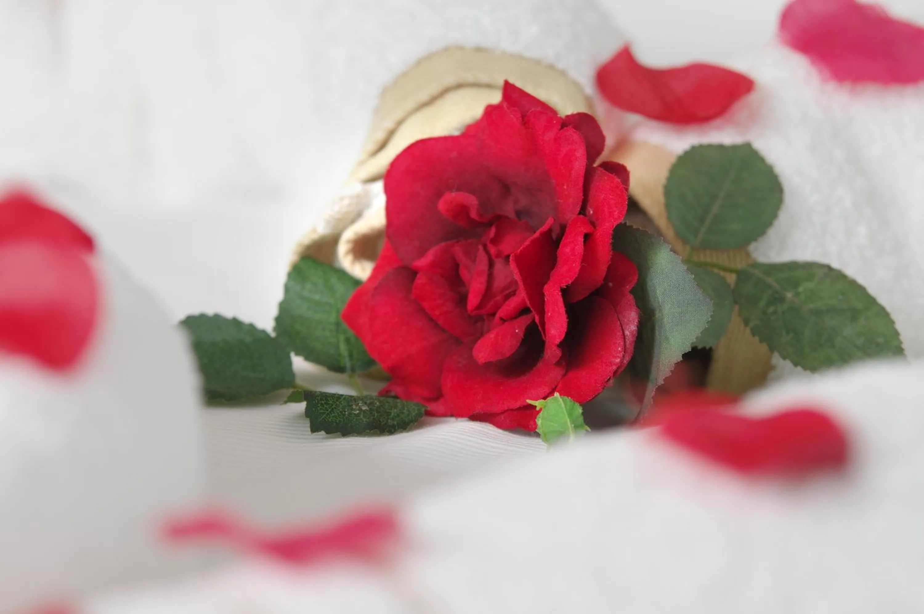 Sonnenhof Resort Bayerischer Wald