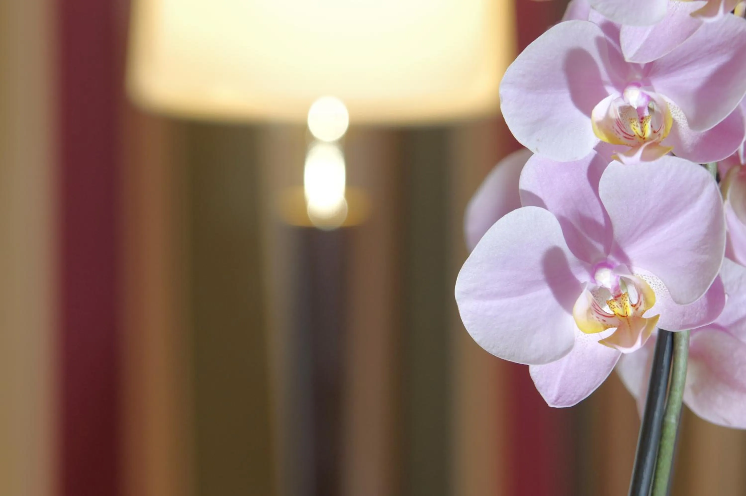 Sonnenhof Resort Bayerischer Wald