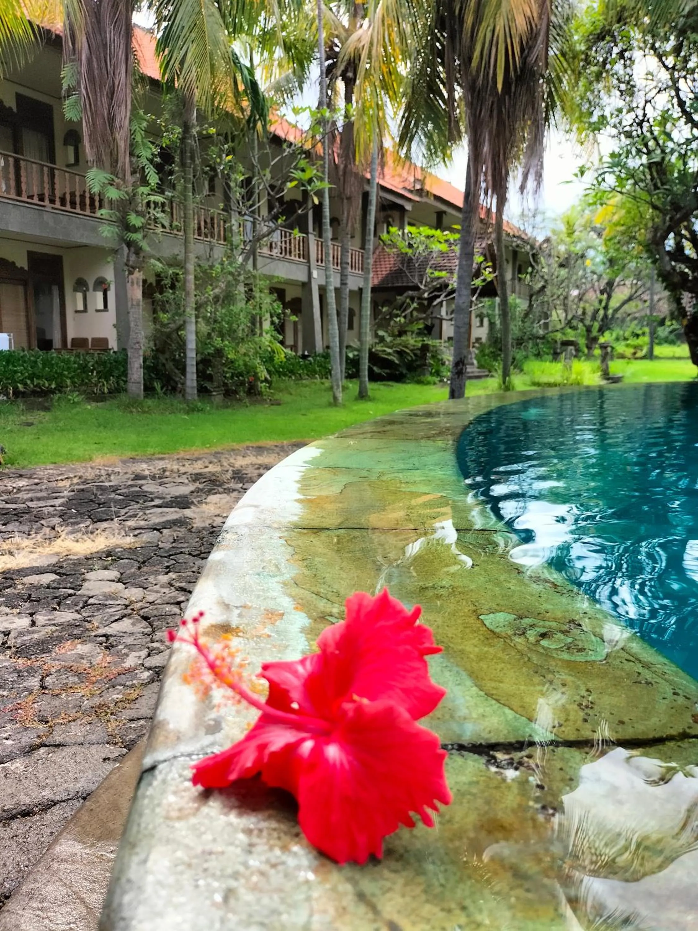 Hotel SeaSide lovina