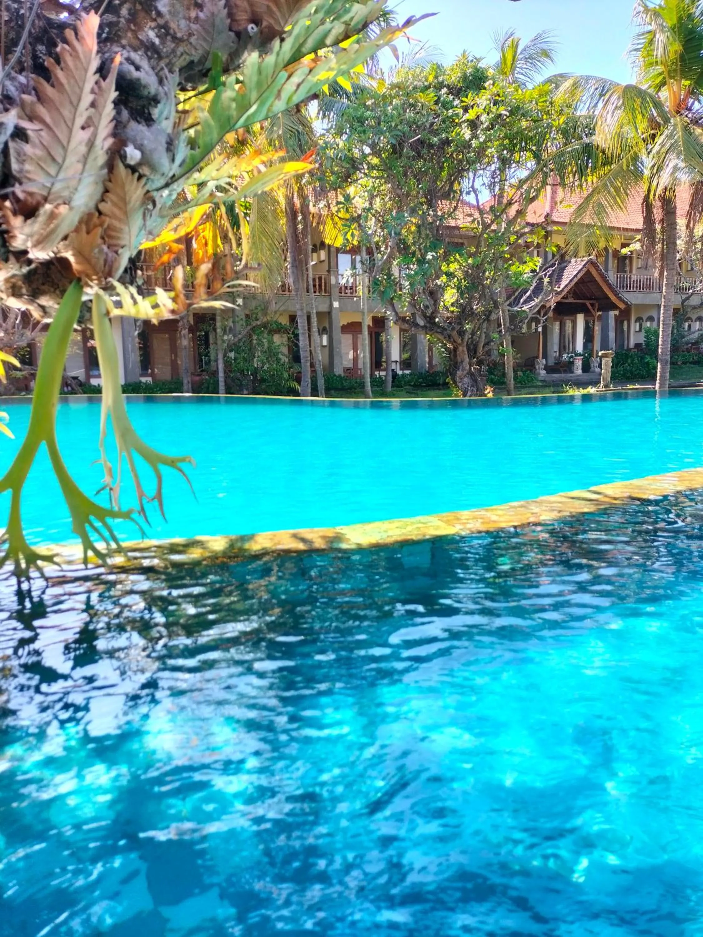 Hotel SeaSide lovina