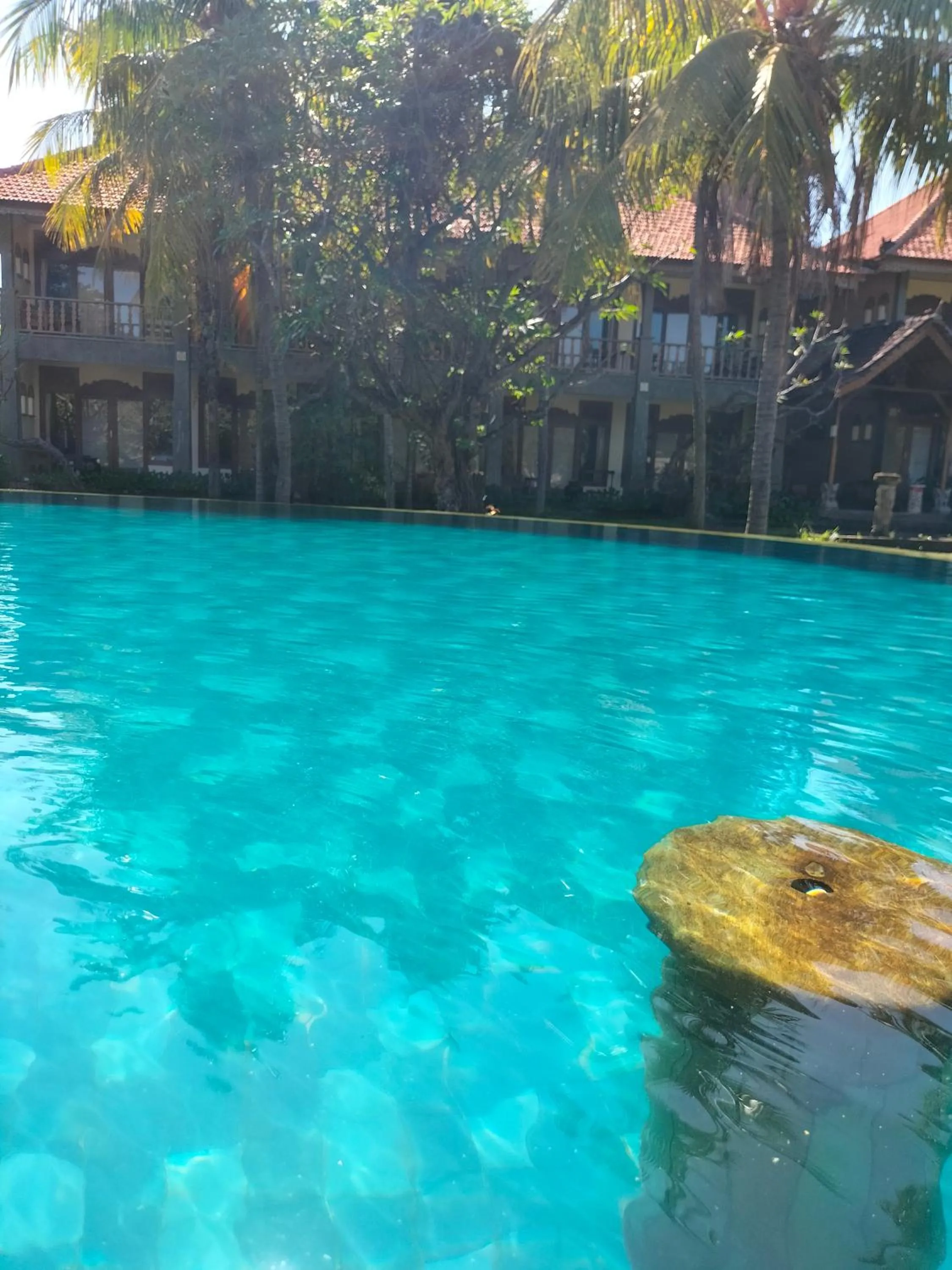 Hotel SeaSide lovina