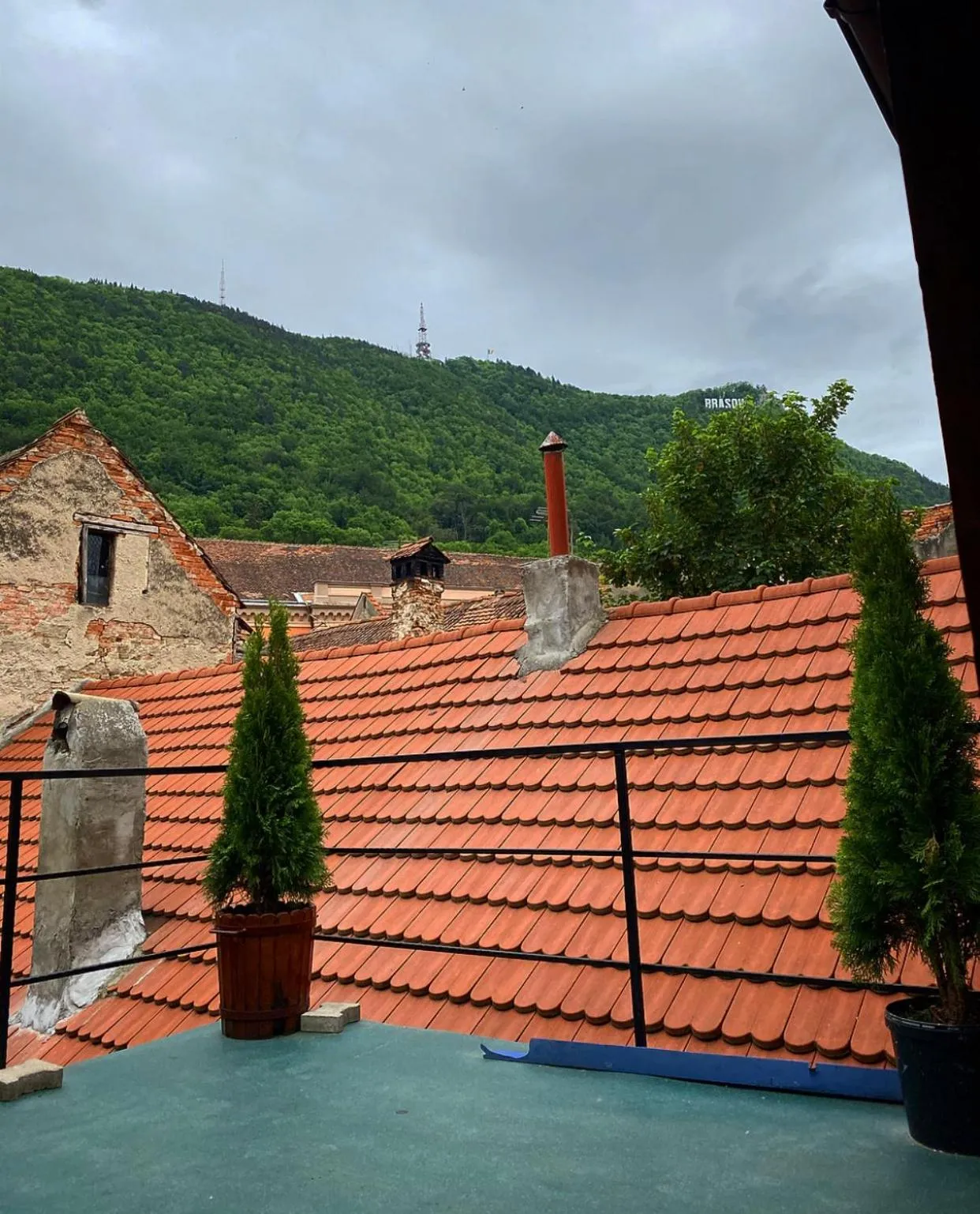 Natural landscape in ULLYSSES GUEST HOUSE