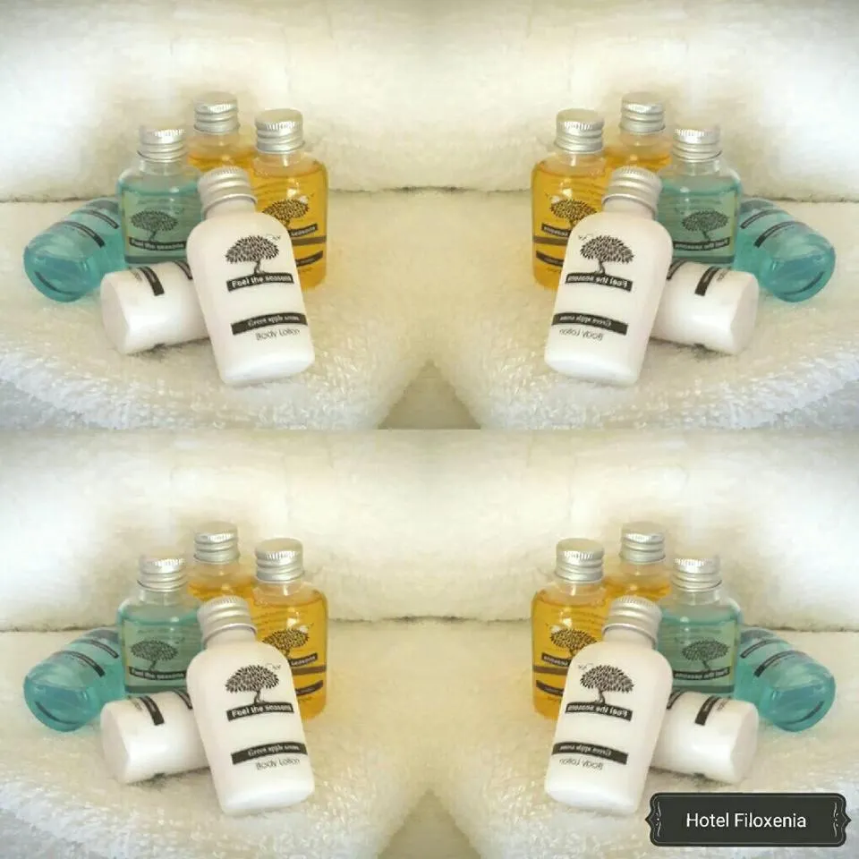 Shower in Hotel Filoxenia