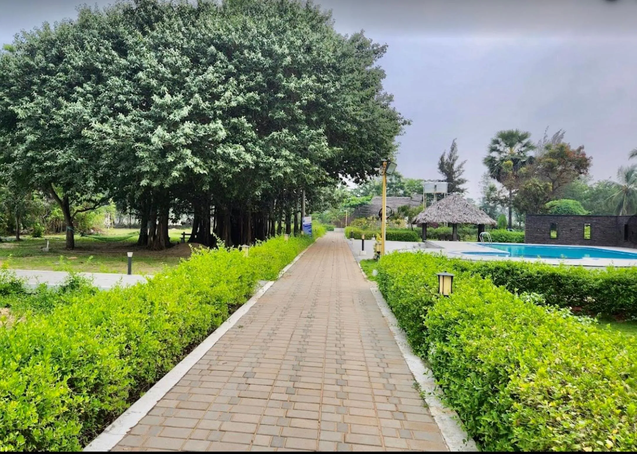 Garden view in Joe's Beach Shack - Beach resort, Ramanathapuram