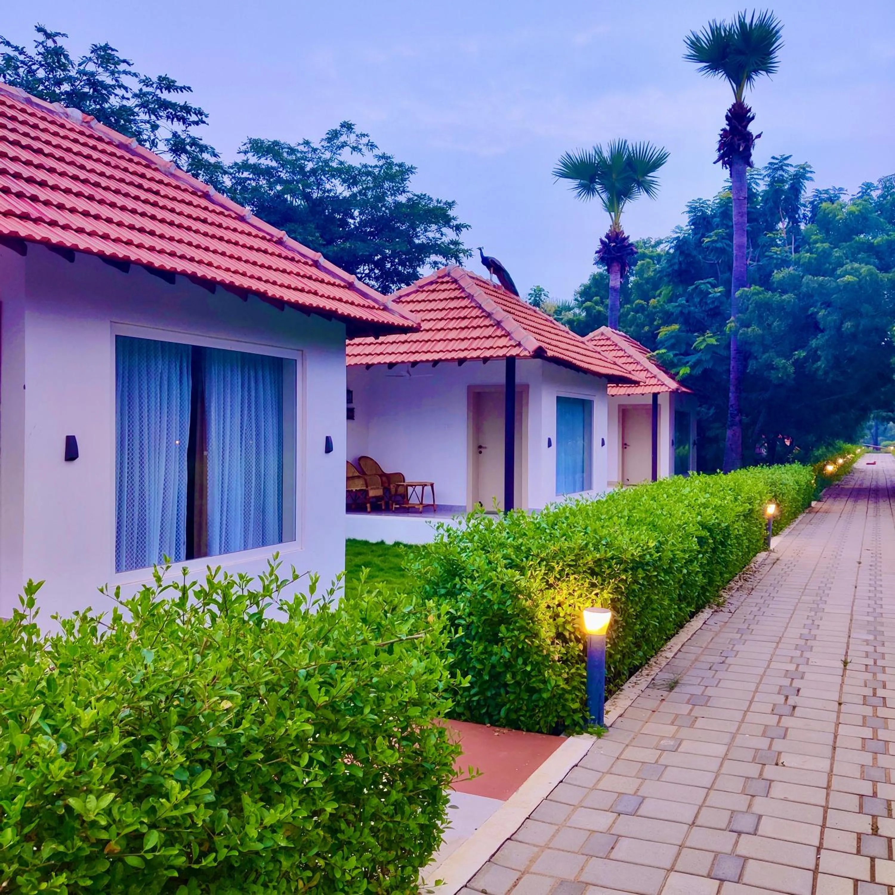 Other in Joe's Beach Shack - Beach resort, Ramanathapuram