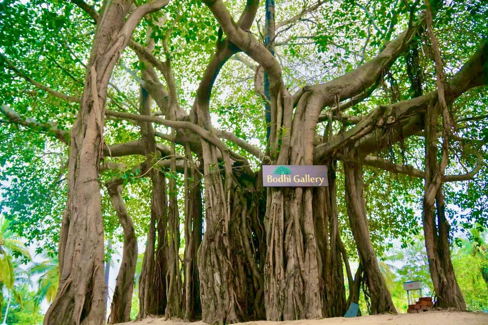 Natural landscape in Joe's Beach Shack - Beach resort, Ramanathapuram