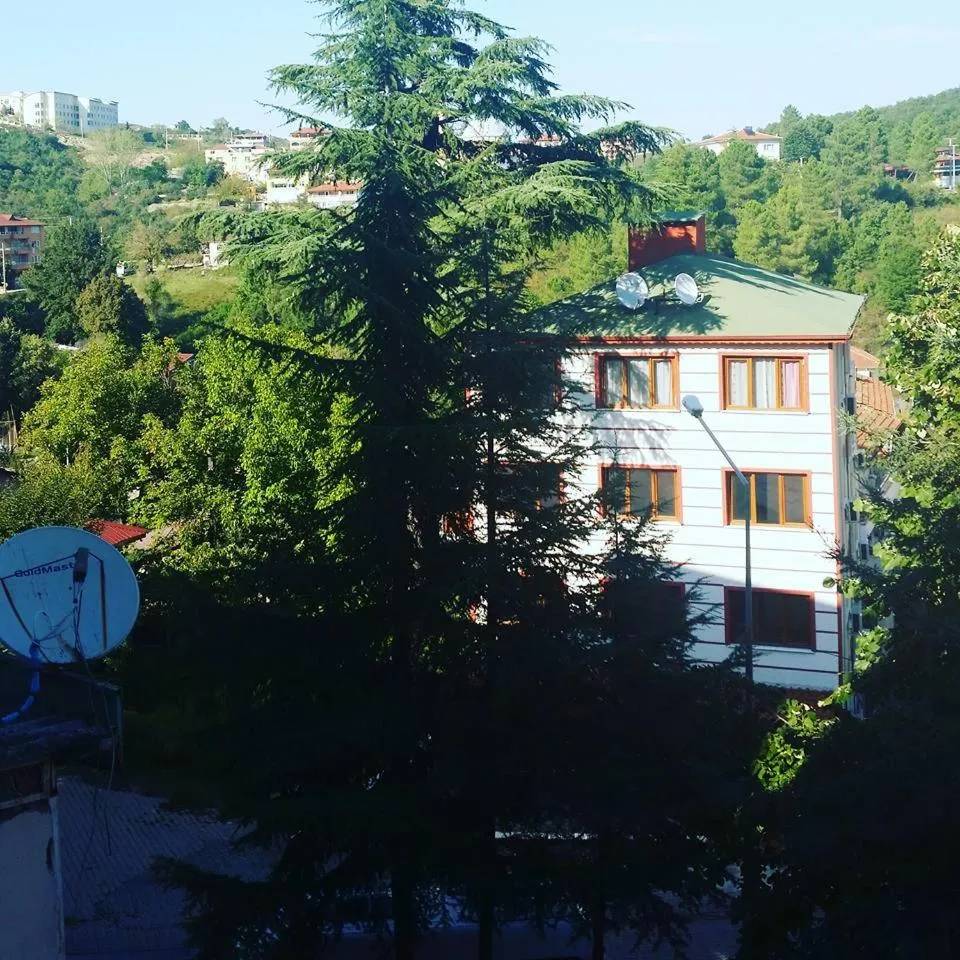 Garden view in Thermal Orkide Pansiyon