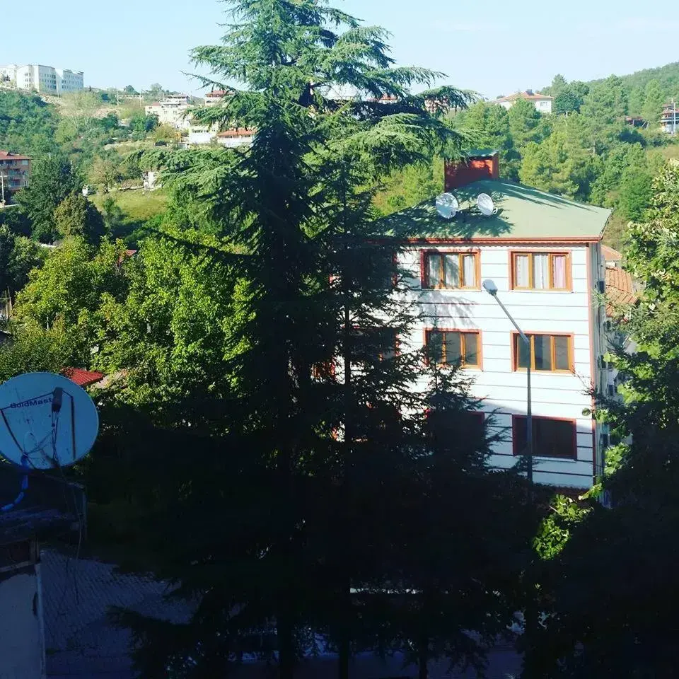 Garden view in Thermal Orkide Pansiyon Garden view in Thermal Orkide Pansiyon