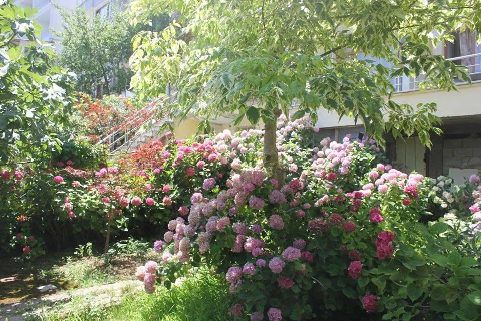 Garden in Thermal Orkide Pansiyon