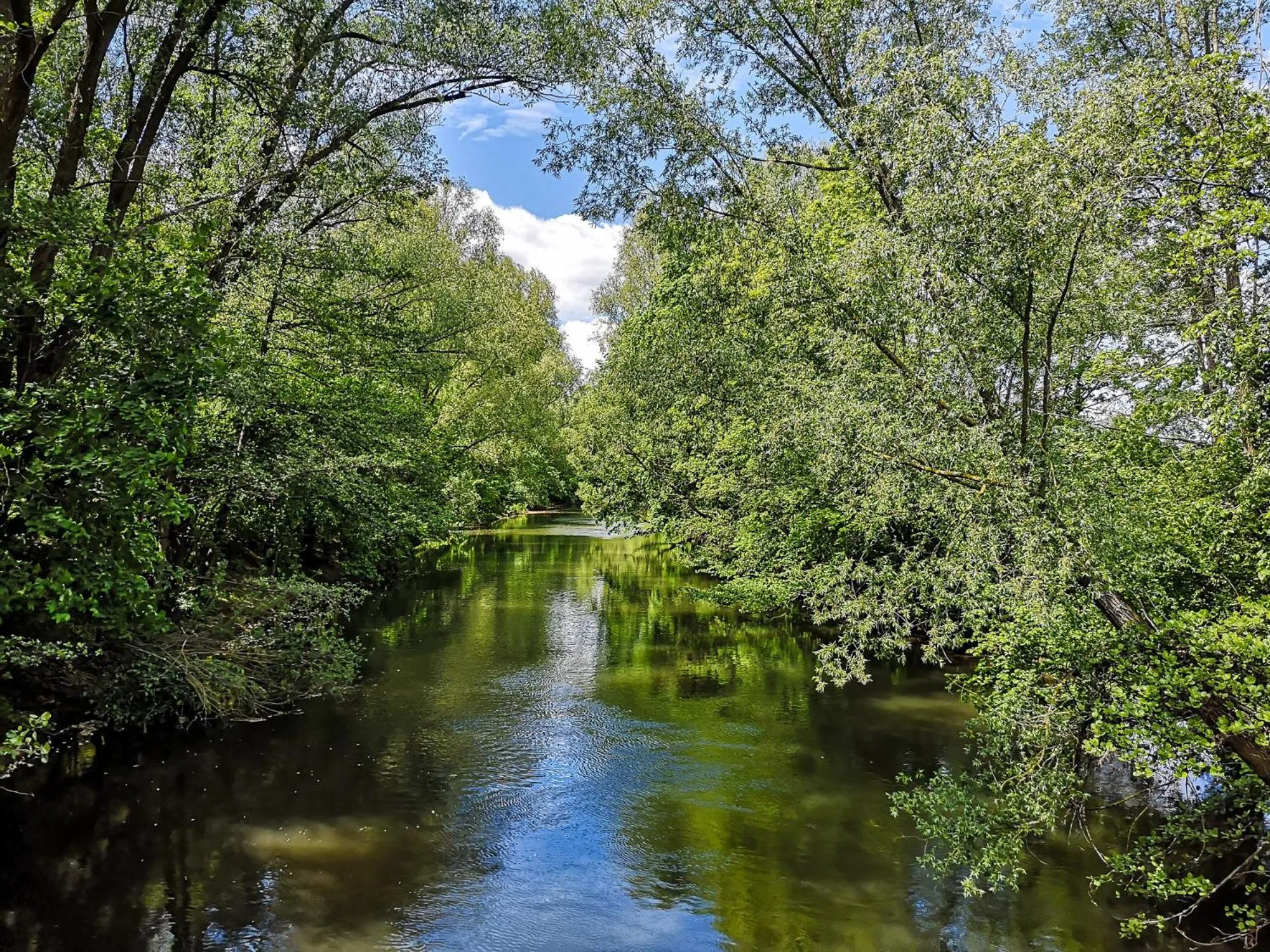 Staff in Hotel Grille