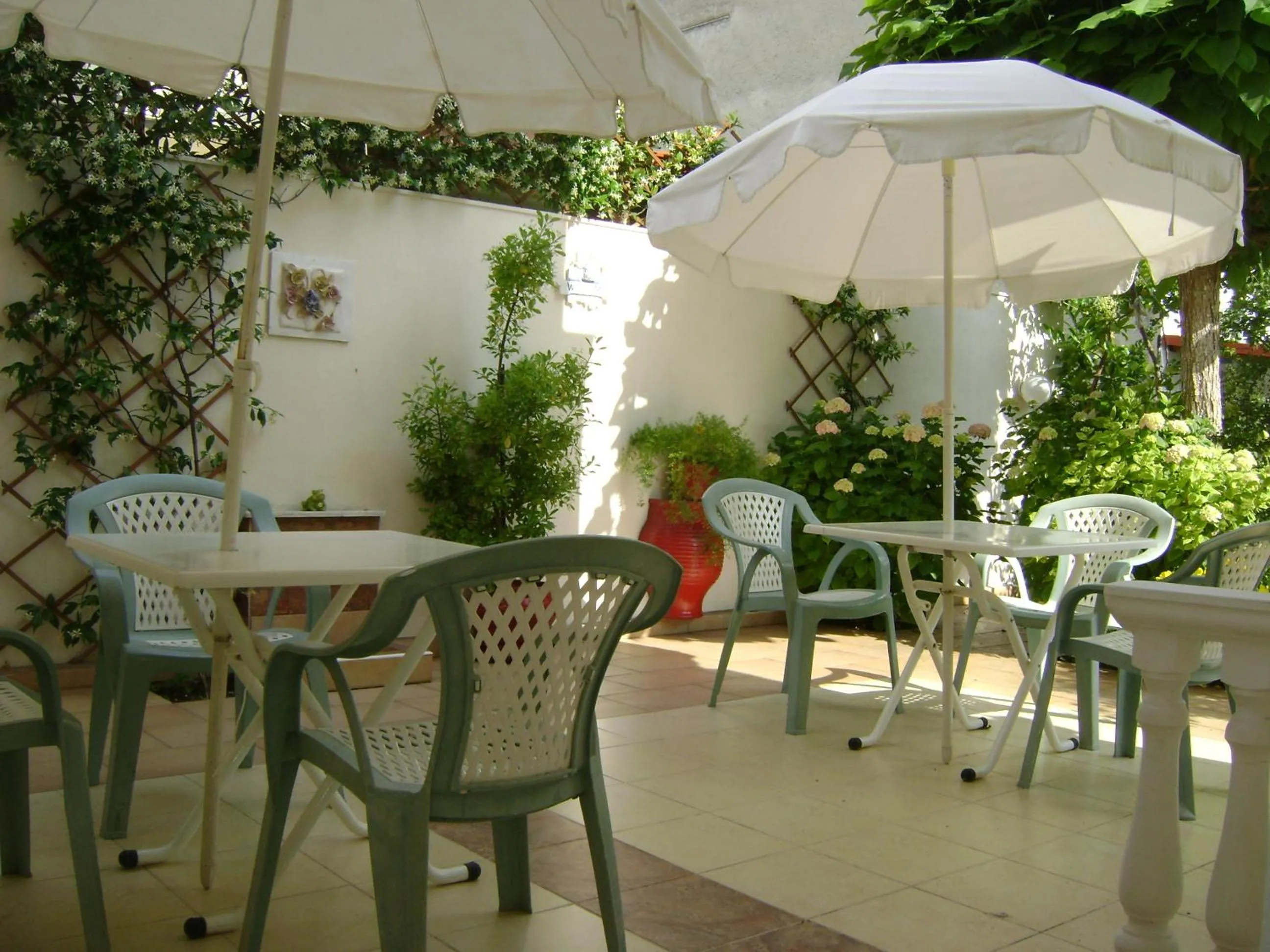 Garden in Olympic Studios Aslanidis