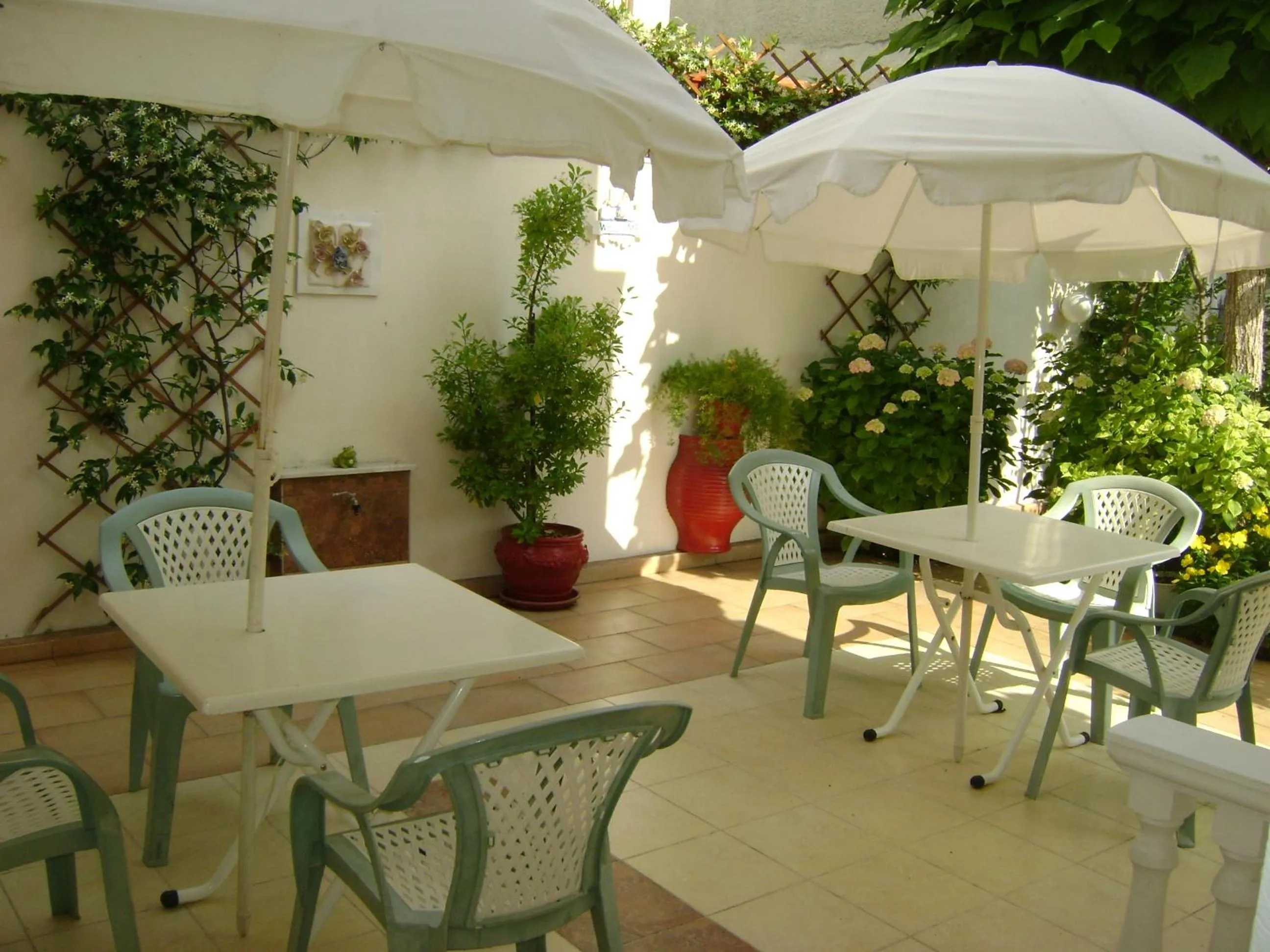 Garden in Olympic Studios Aslanidis