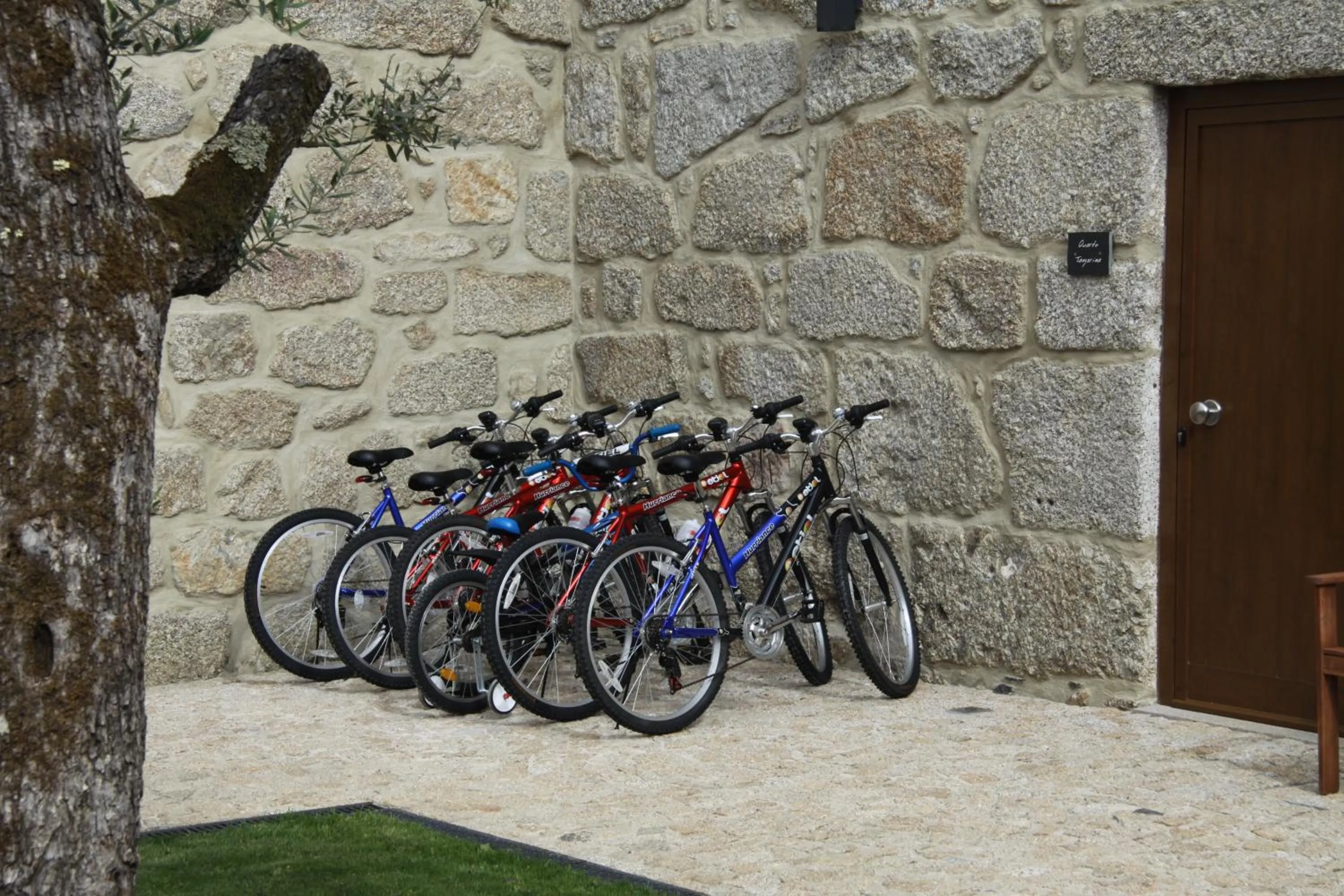 Activities in Casa Valxisto