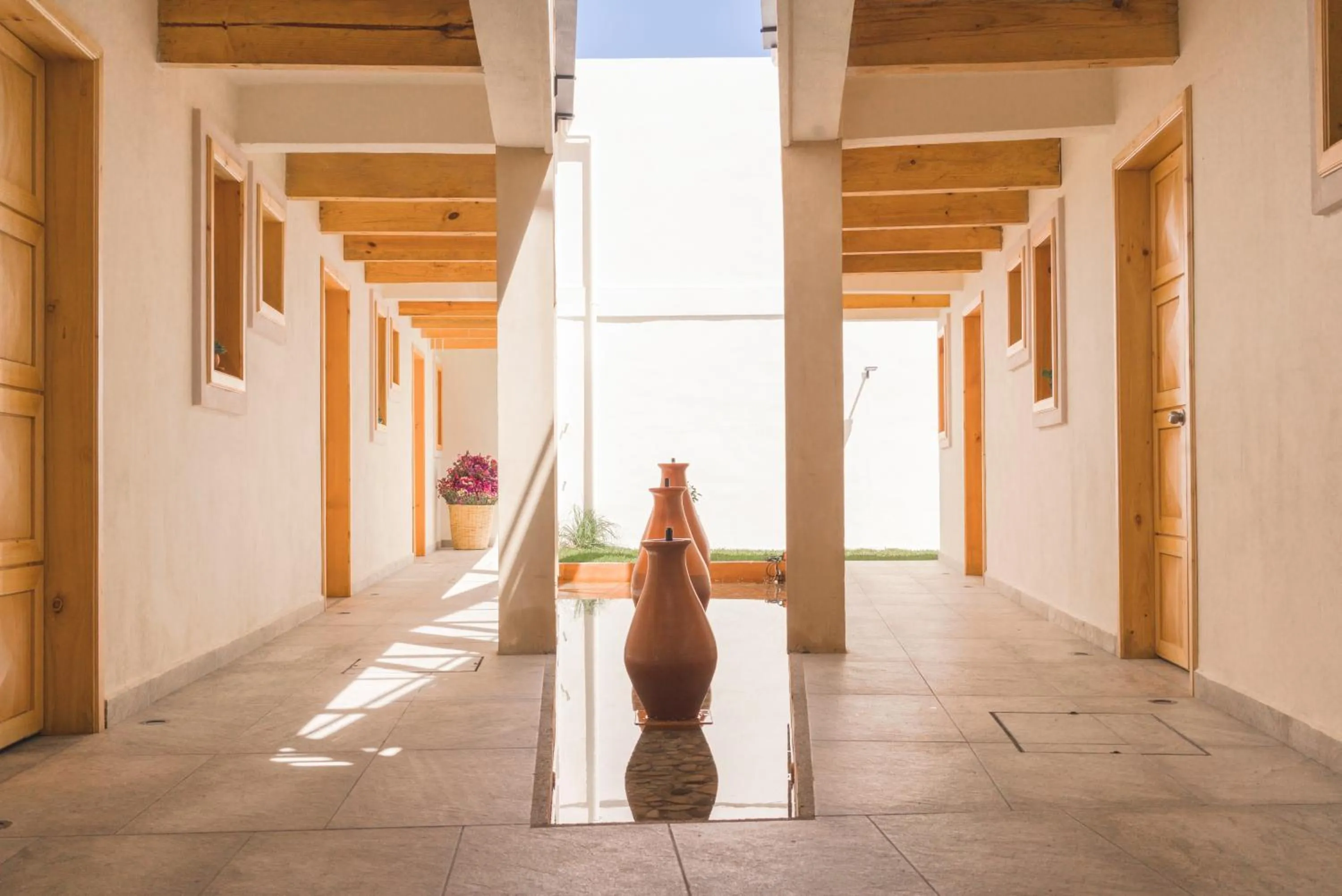 Garden in Hotel Mansion Primavera