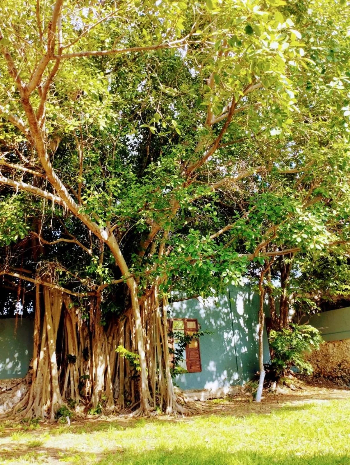 Day in Villa Octavia