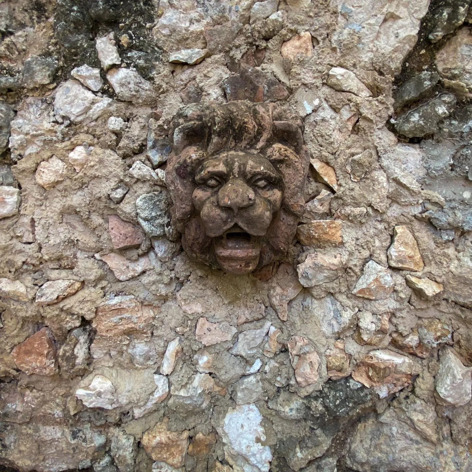 Area and facilities in Villa Octavia