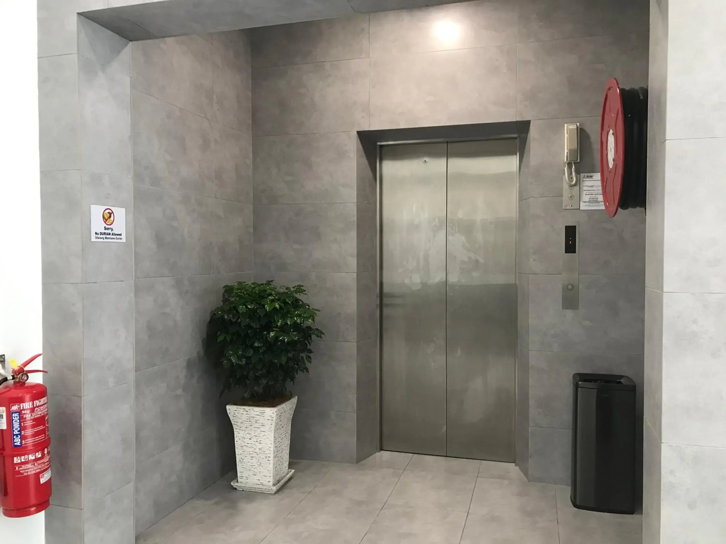 Lobby or reception in Dandelion Inn Lobby or reception in Dandelion Inn